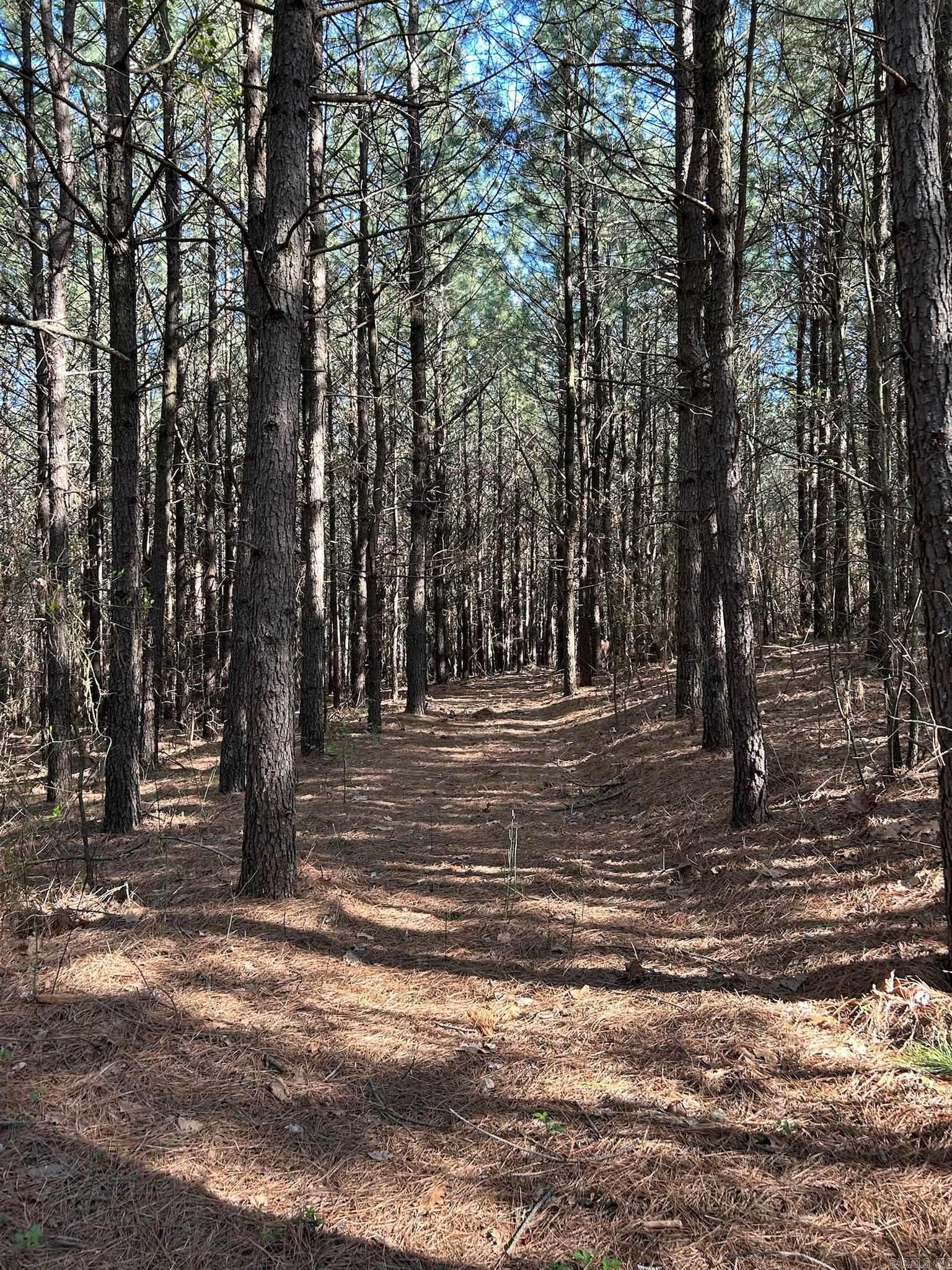1  Rex  Clinton, AR
