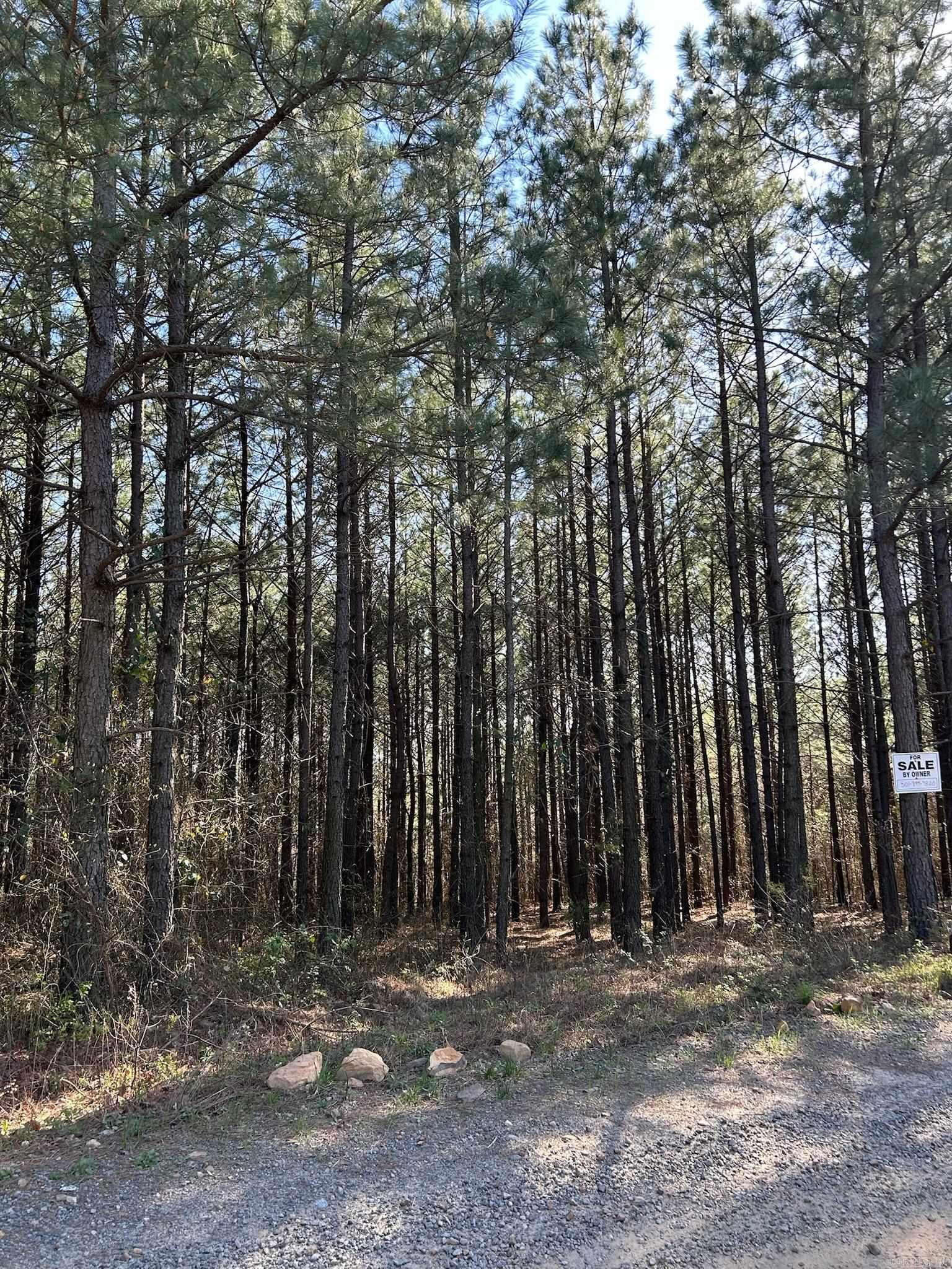 1  Rex  Clinton, AR