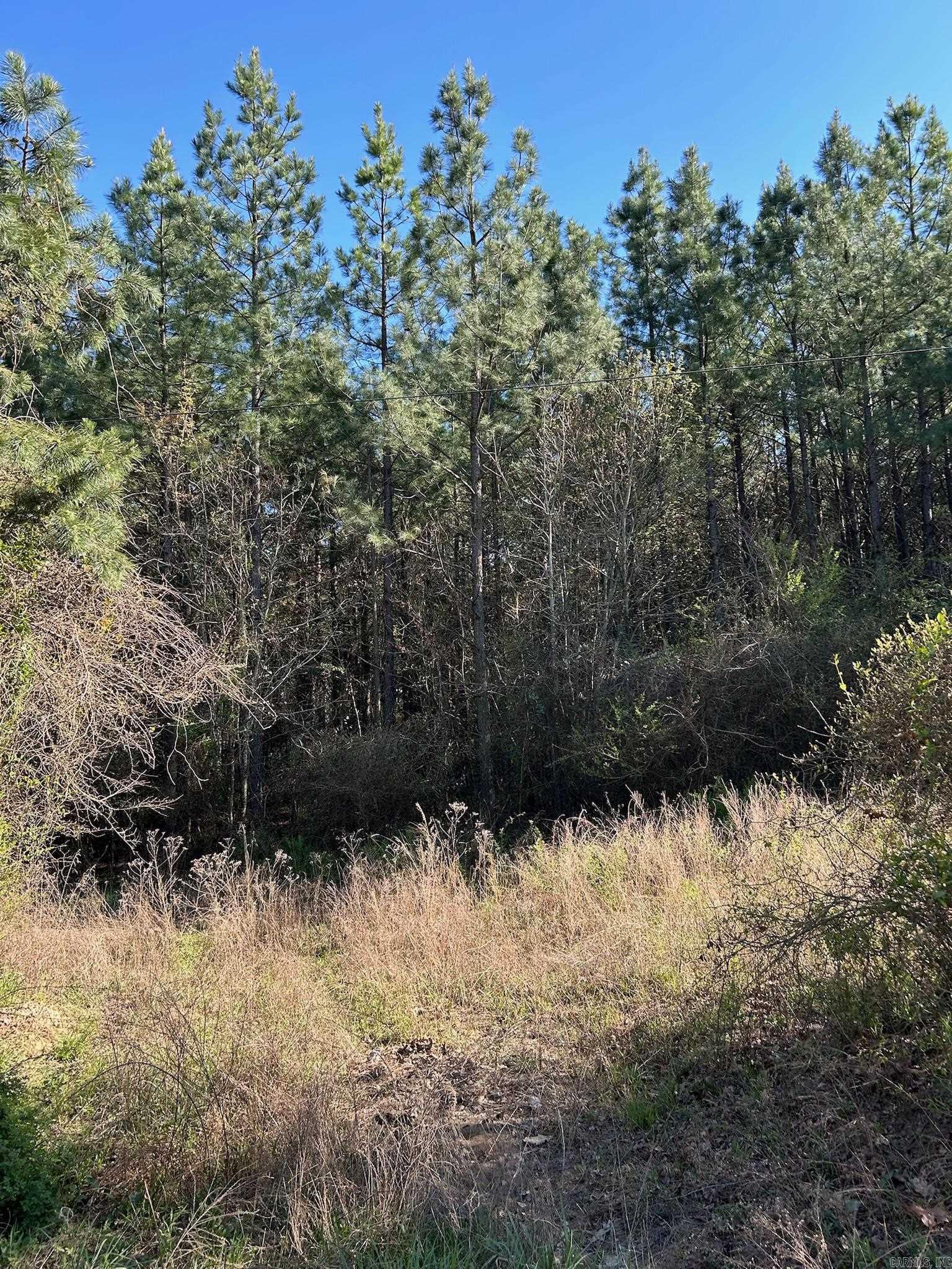 1  Rex  Clinton, AR