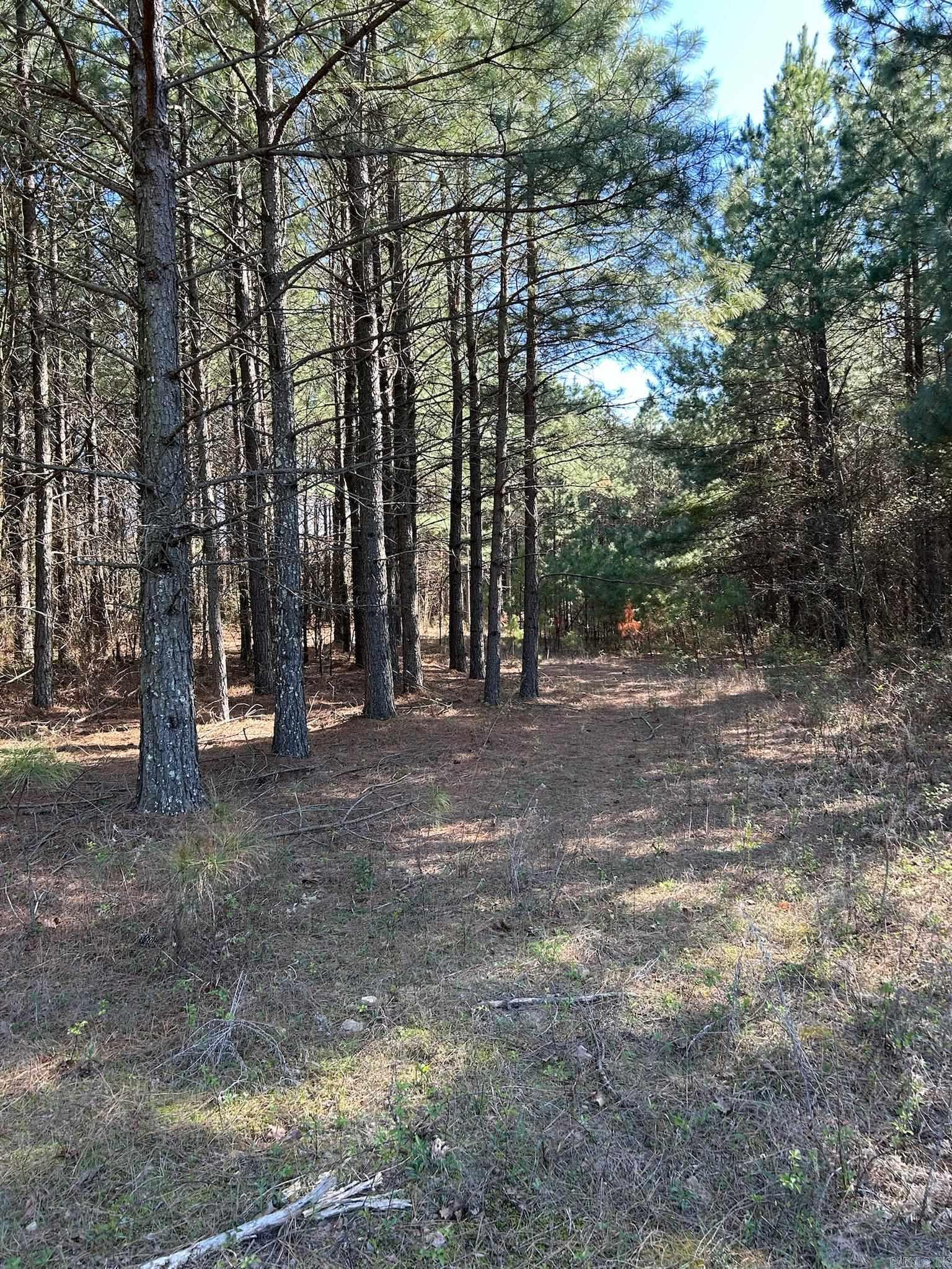 1  Rex  Clinton, AR