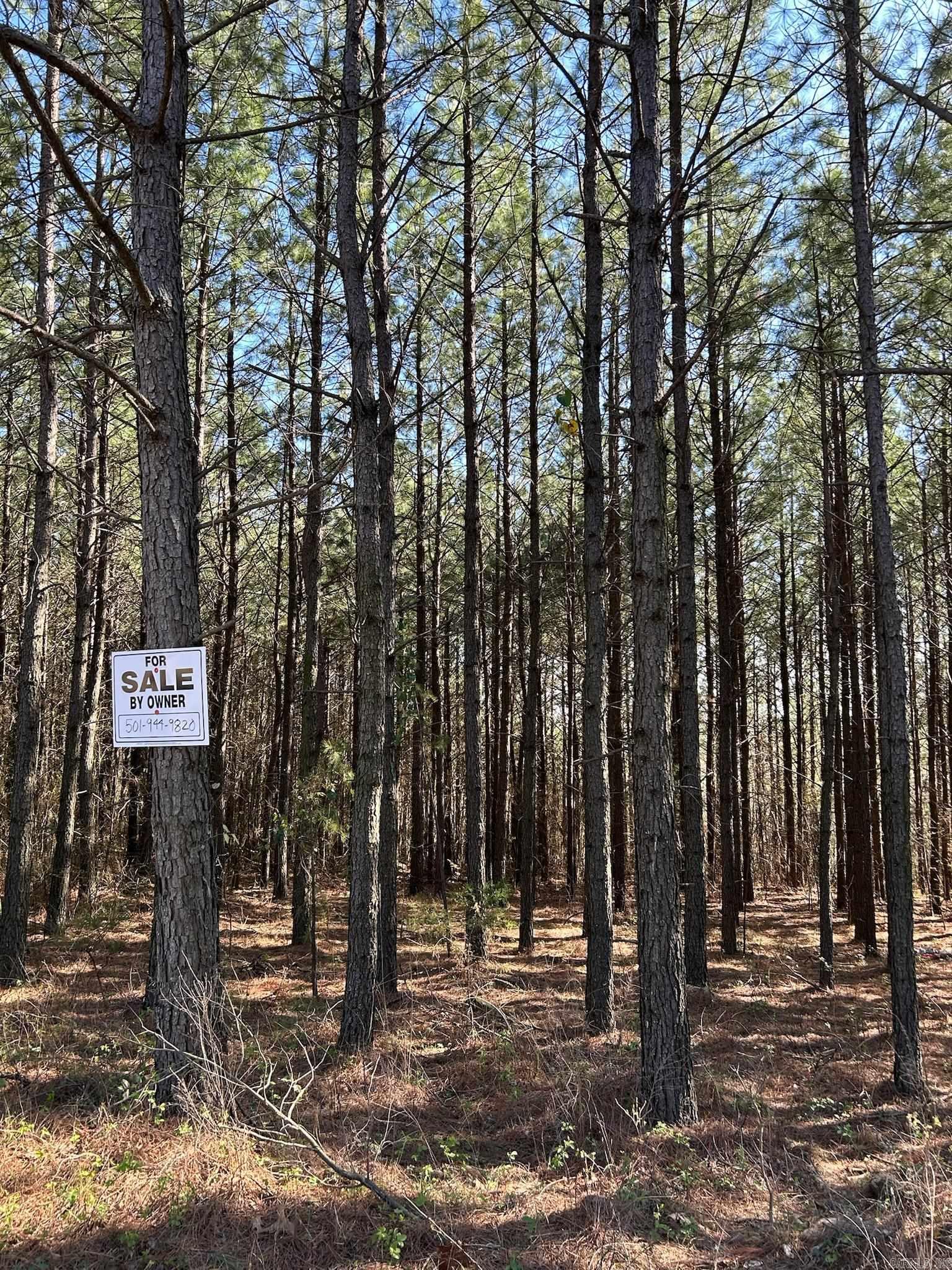 1  Rex  Clinton, AR