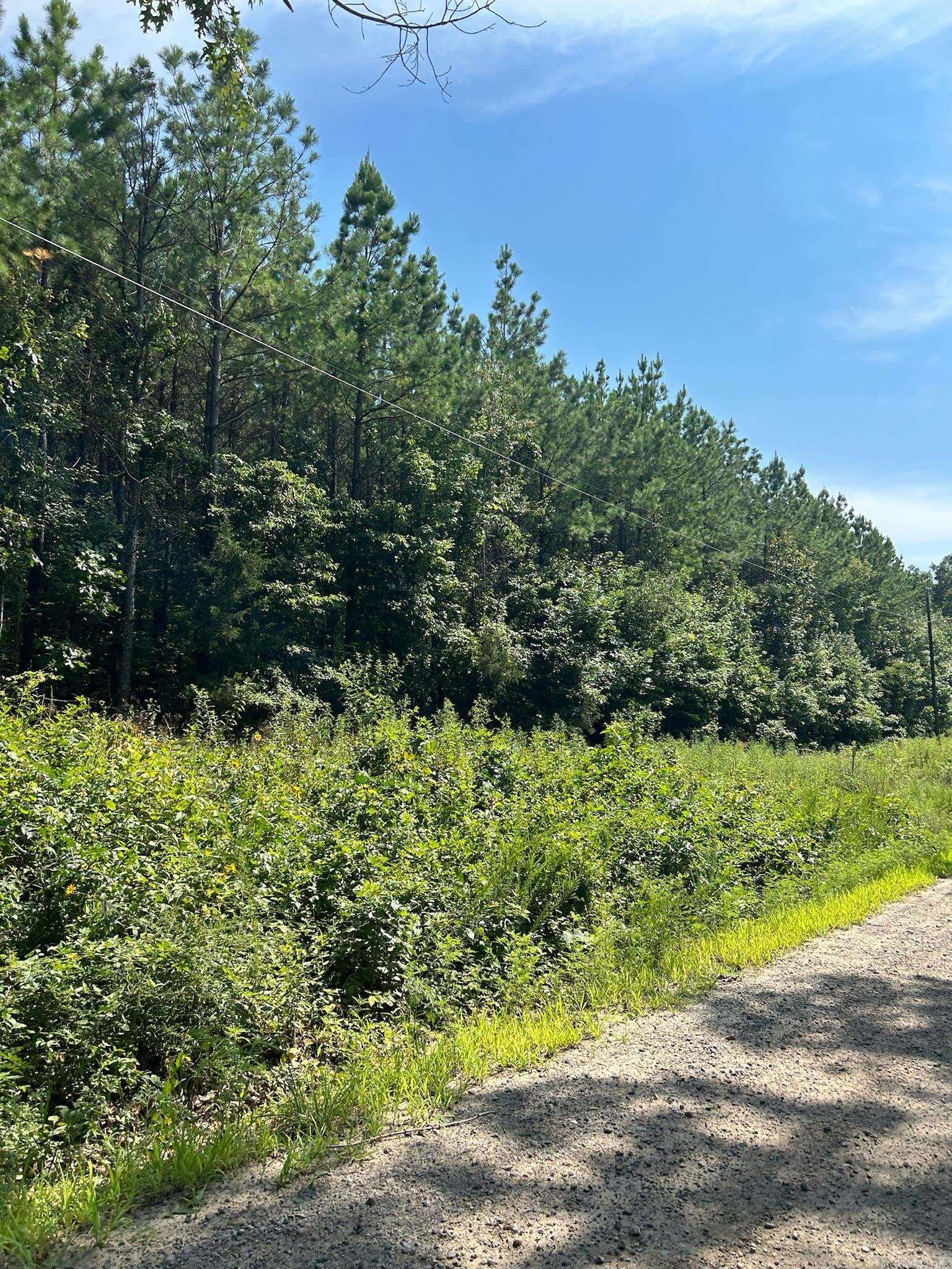 1  Rex  Clinton, AR