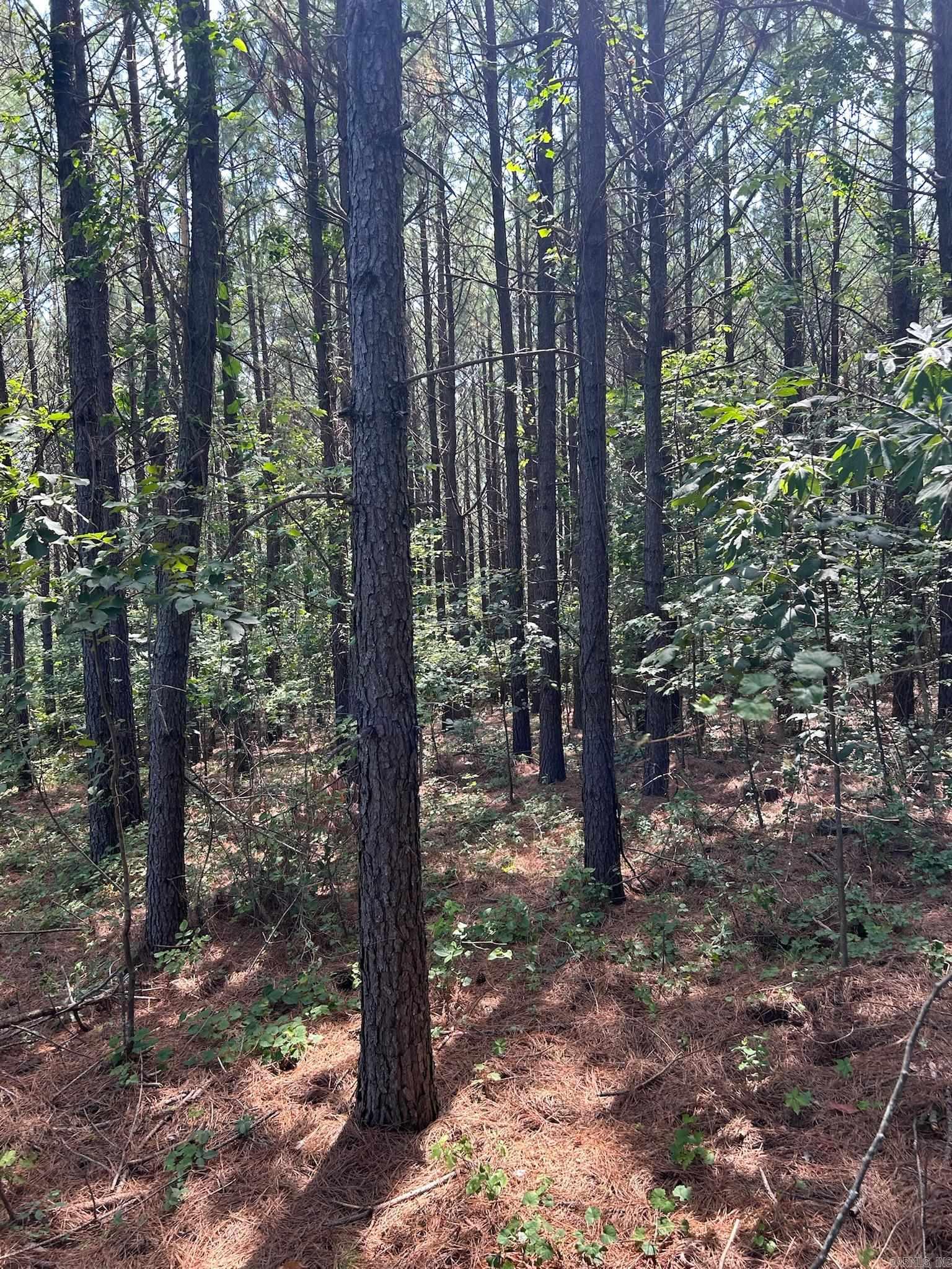 1  Rex  Clinton, AR