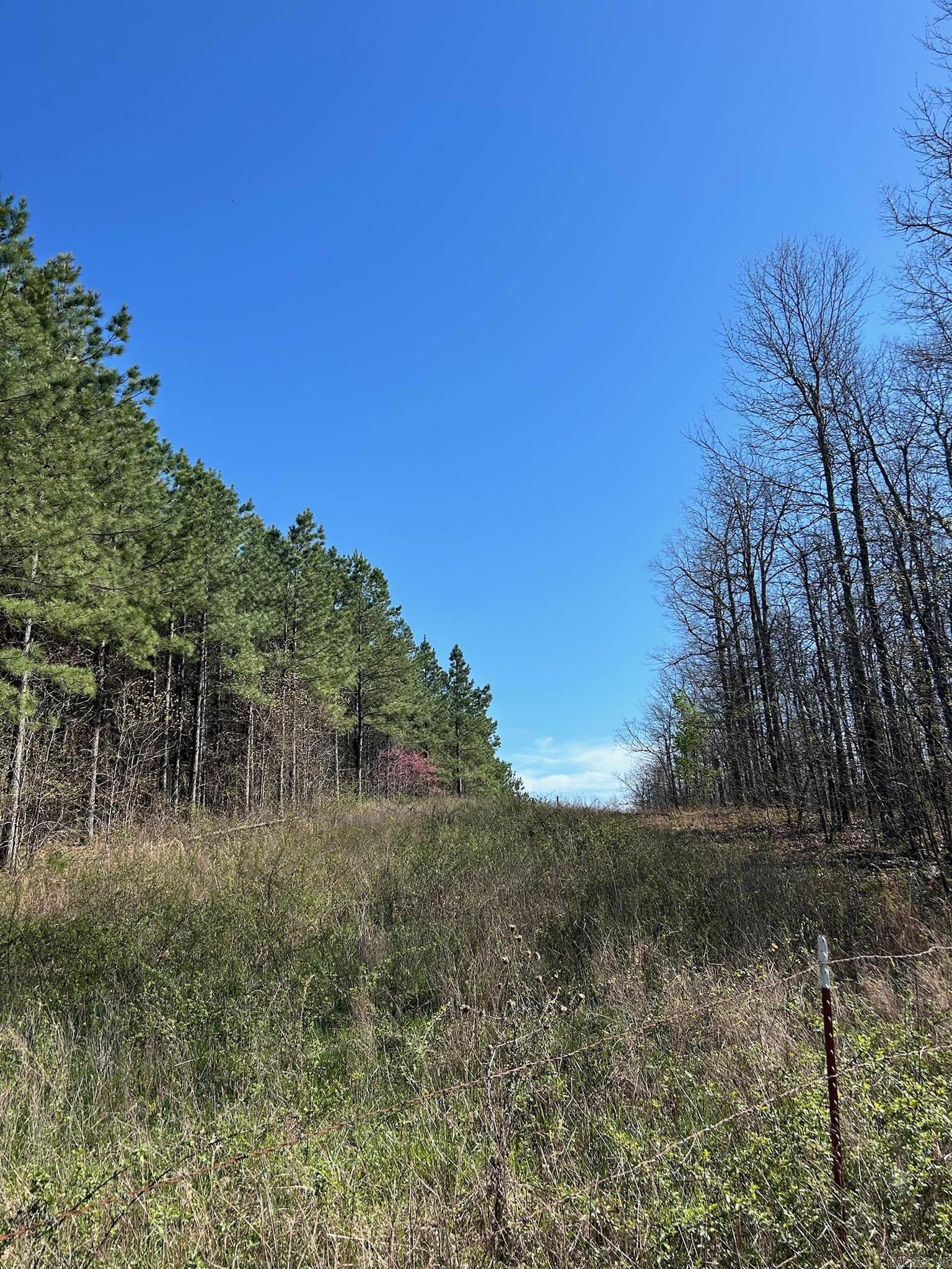 1  Rex  Clinton, AR