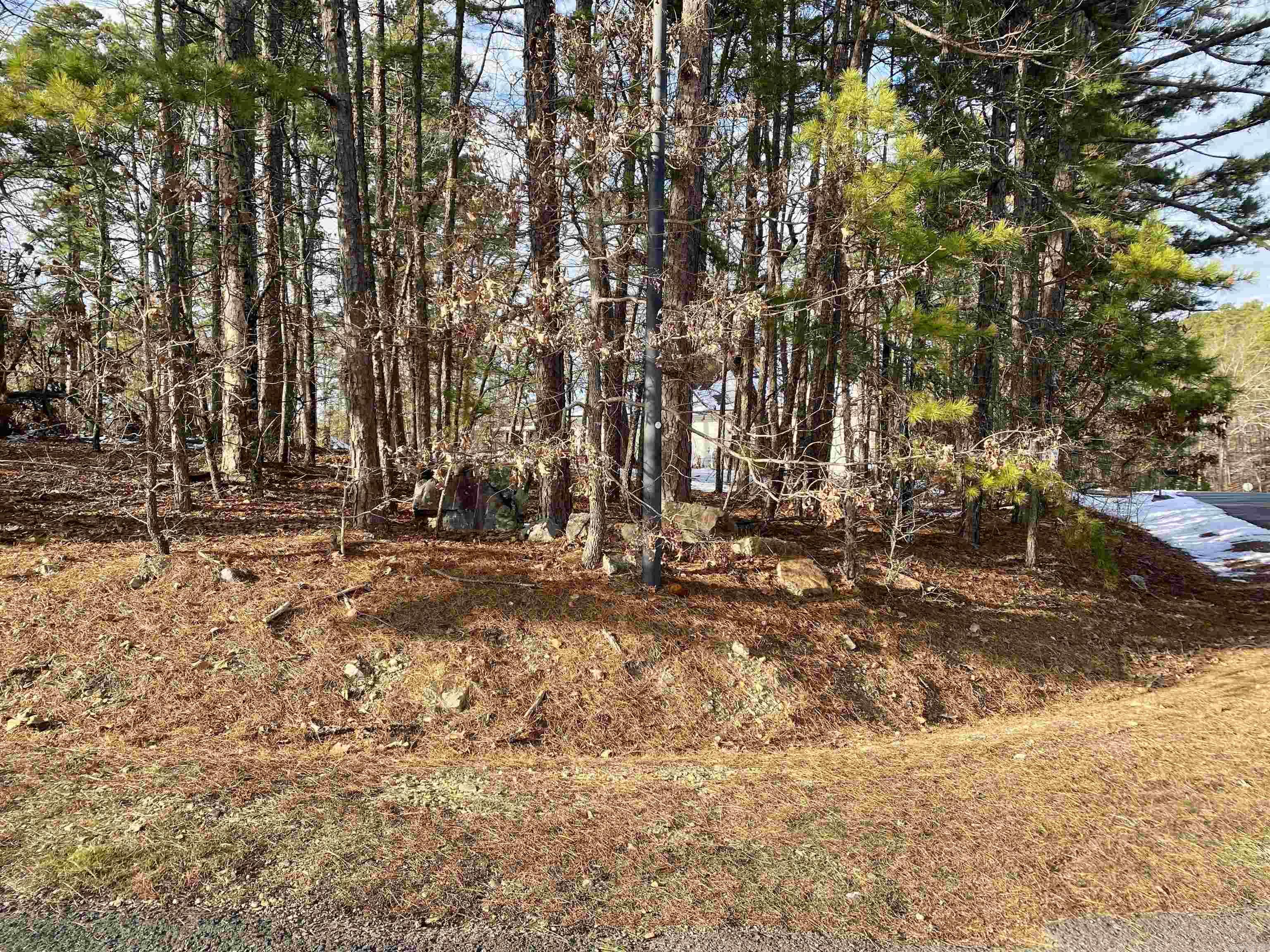 4  Hanares  Hot Springs Village, AR