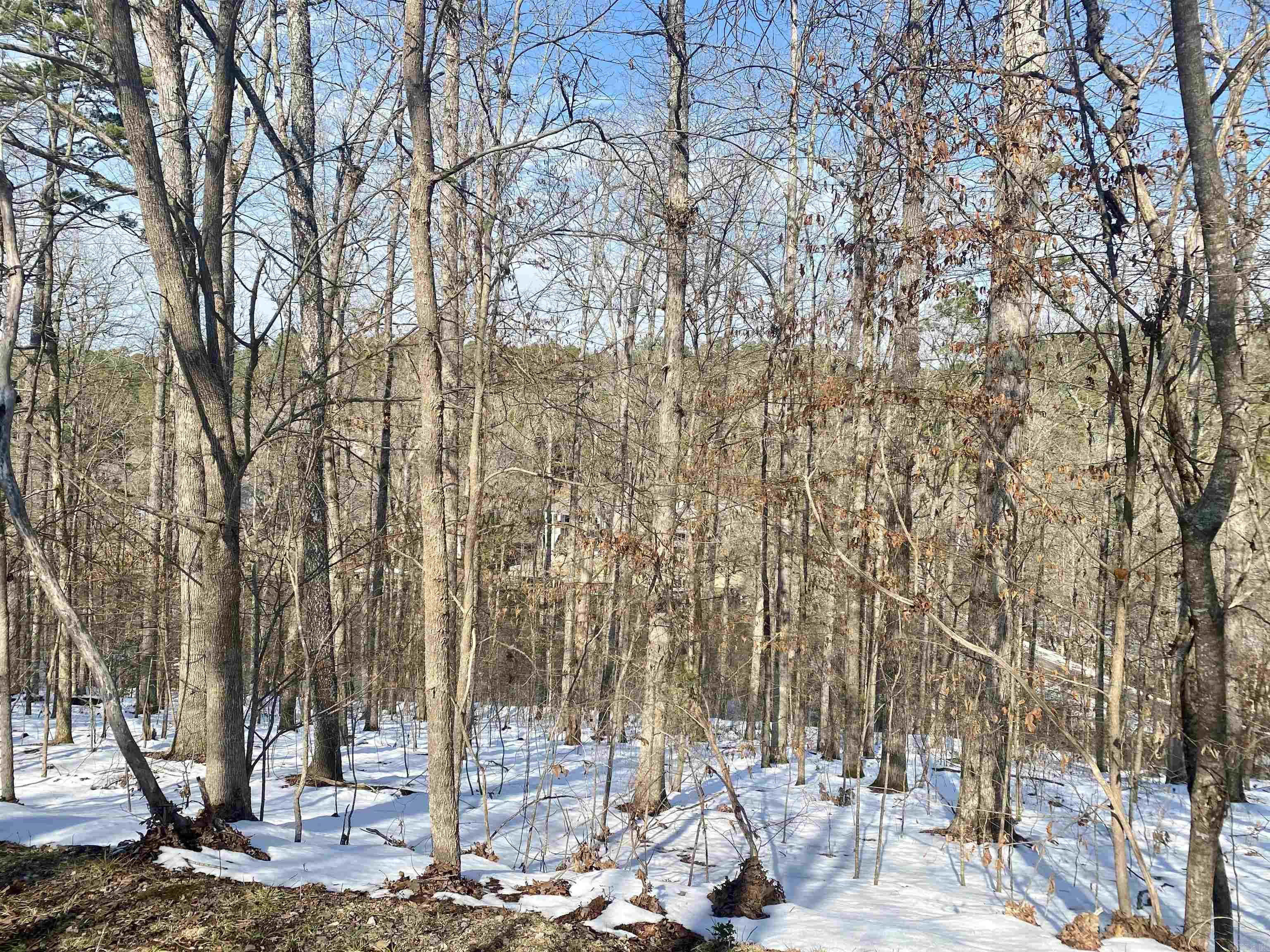 15  Delavega  Hot Springs Village, AR