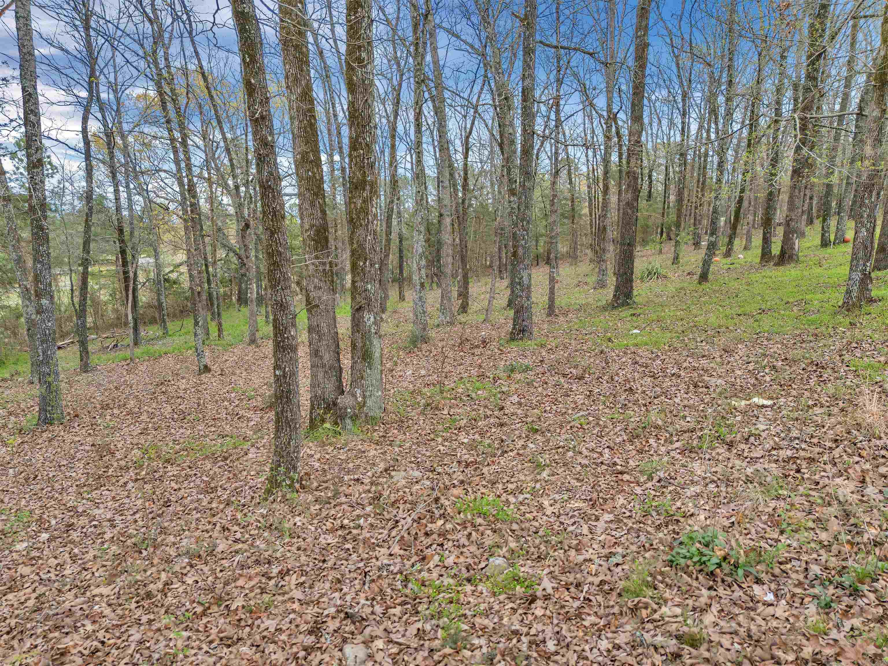 16  Himes  Plumerville, AR