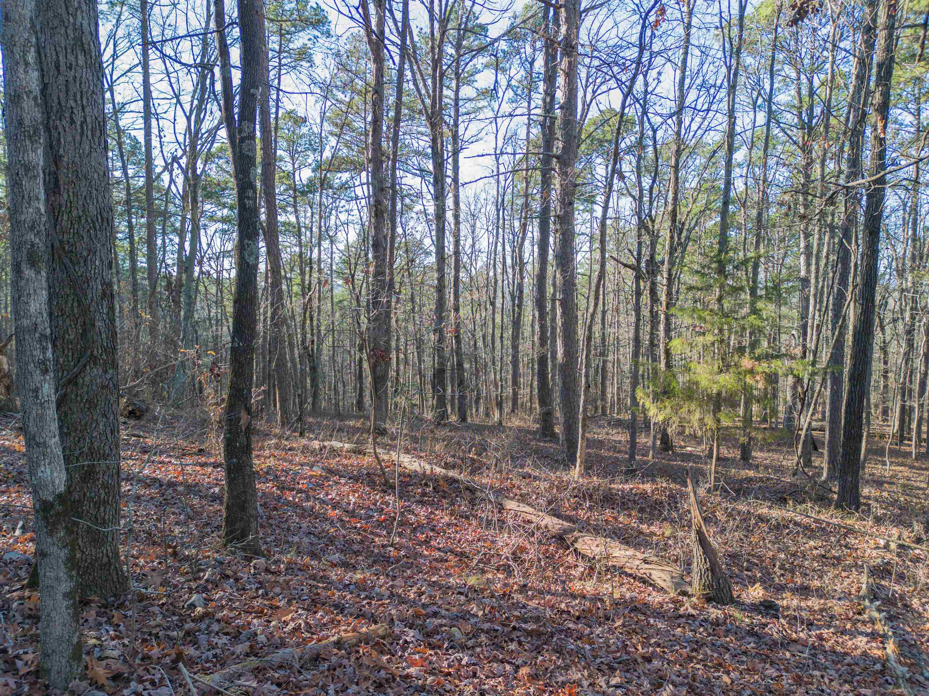   Villena Cir  Hot Springs Village, AR