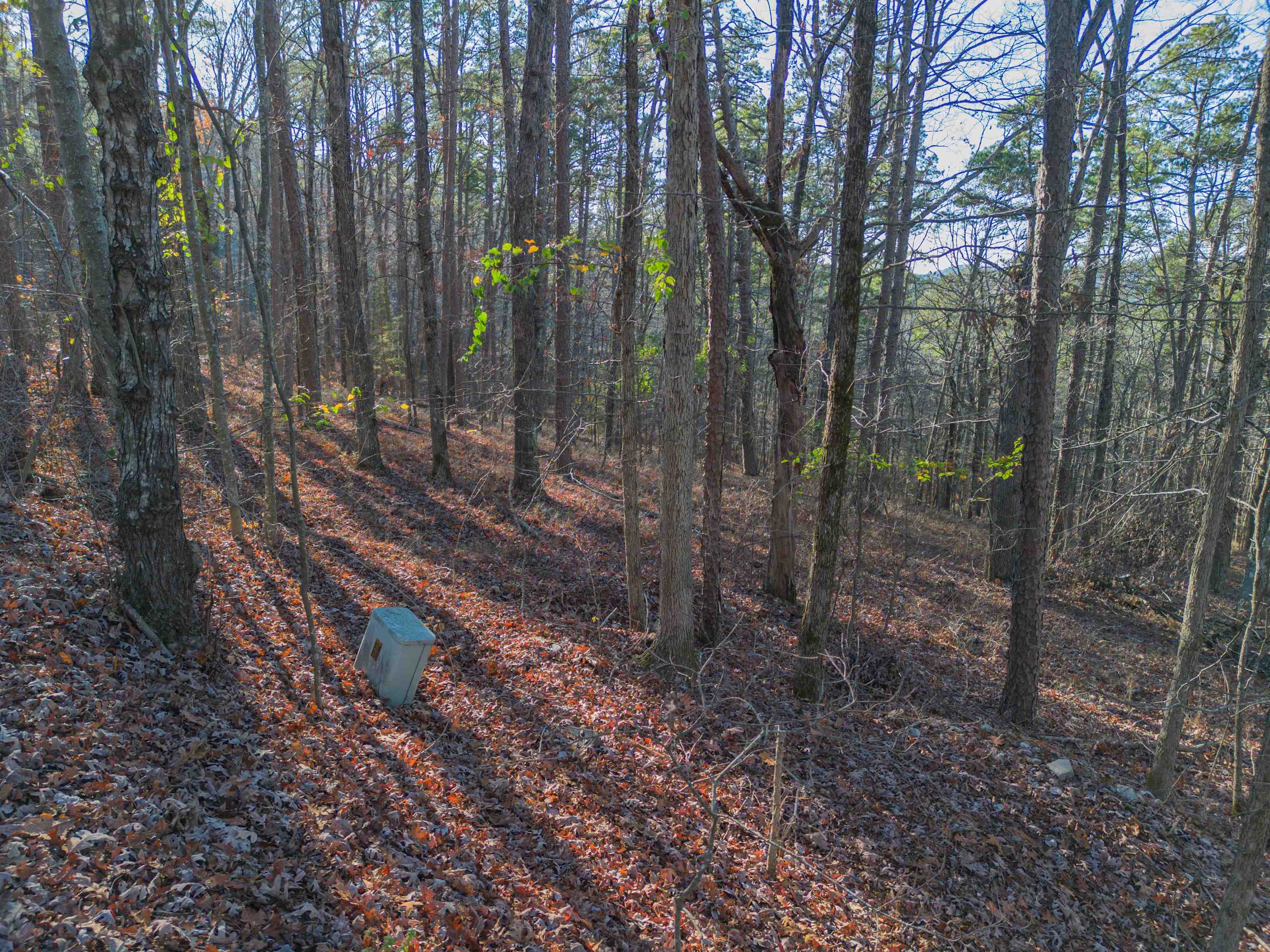   Villena Cir  Hot Springs Village, AR