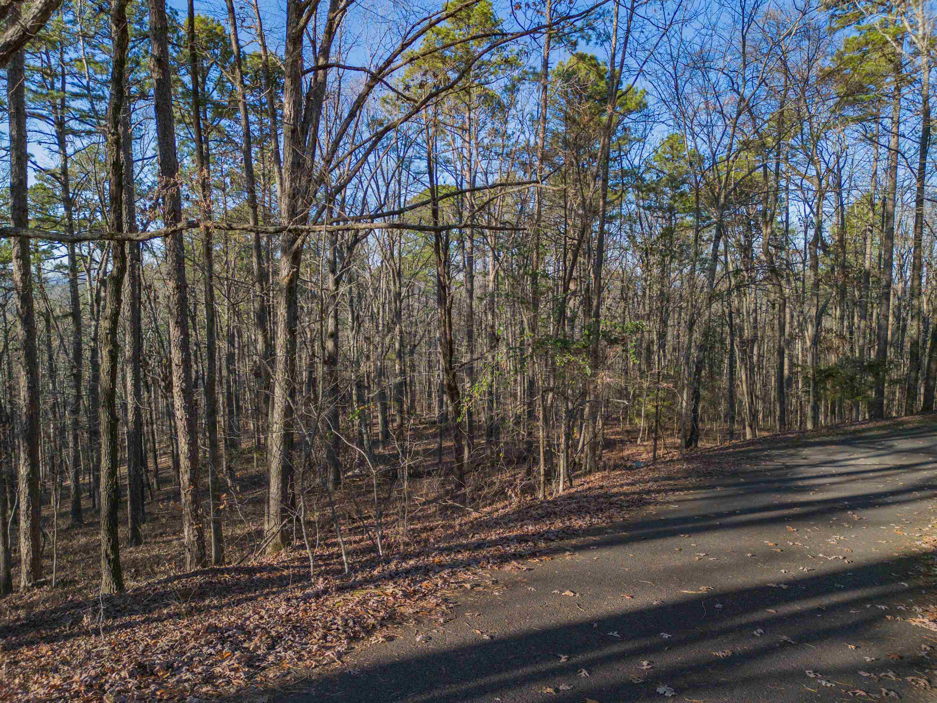   Villena Cir  Hot Springs Village, AR