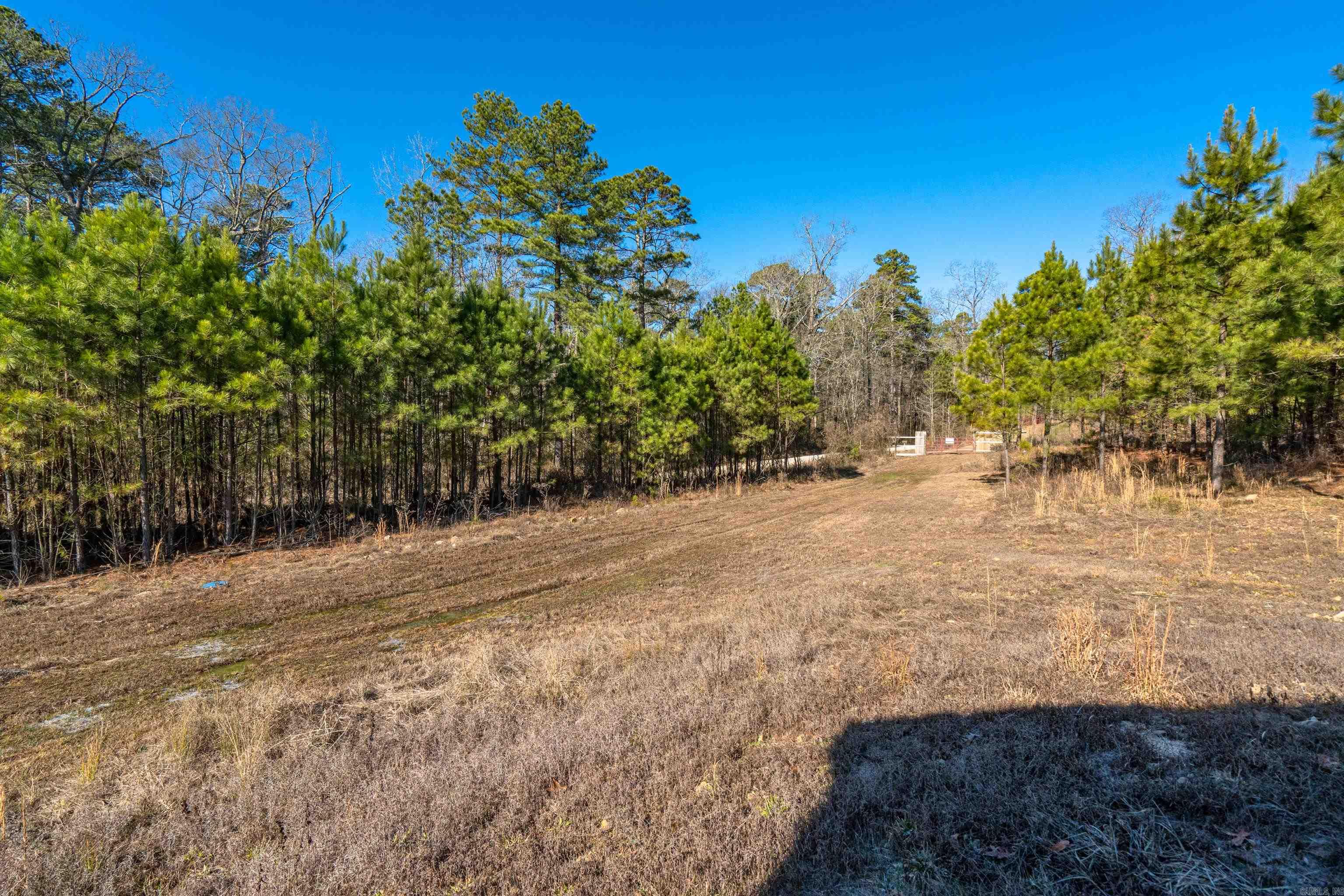 3174  Mazarn  Bonnerdale, AR