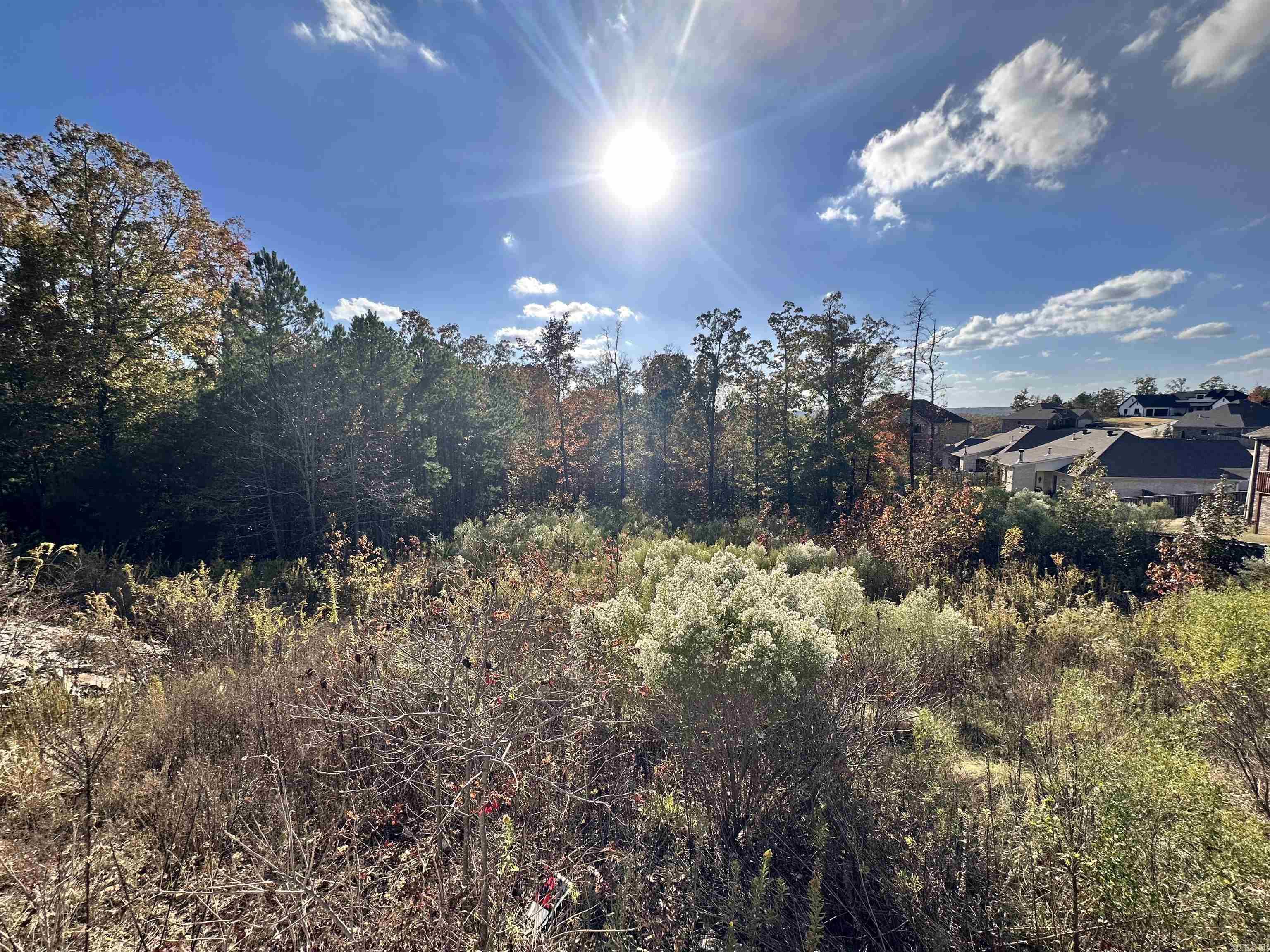 15109  Angus  Little Rock, AR