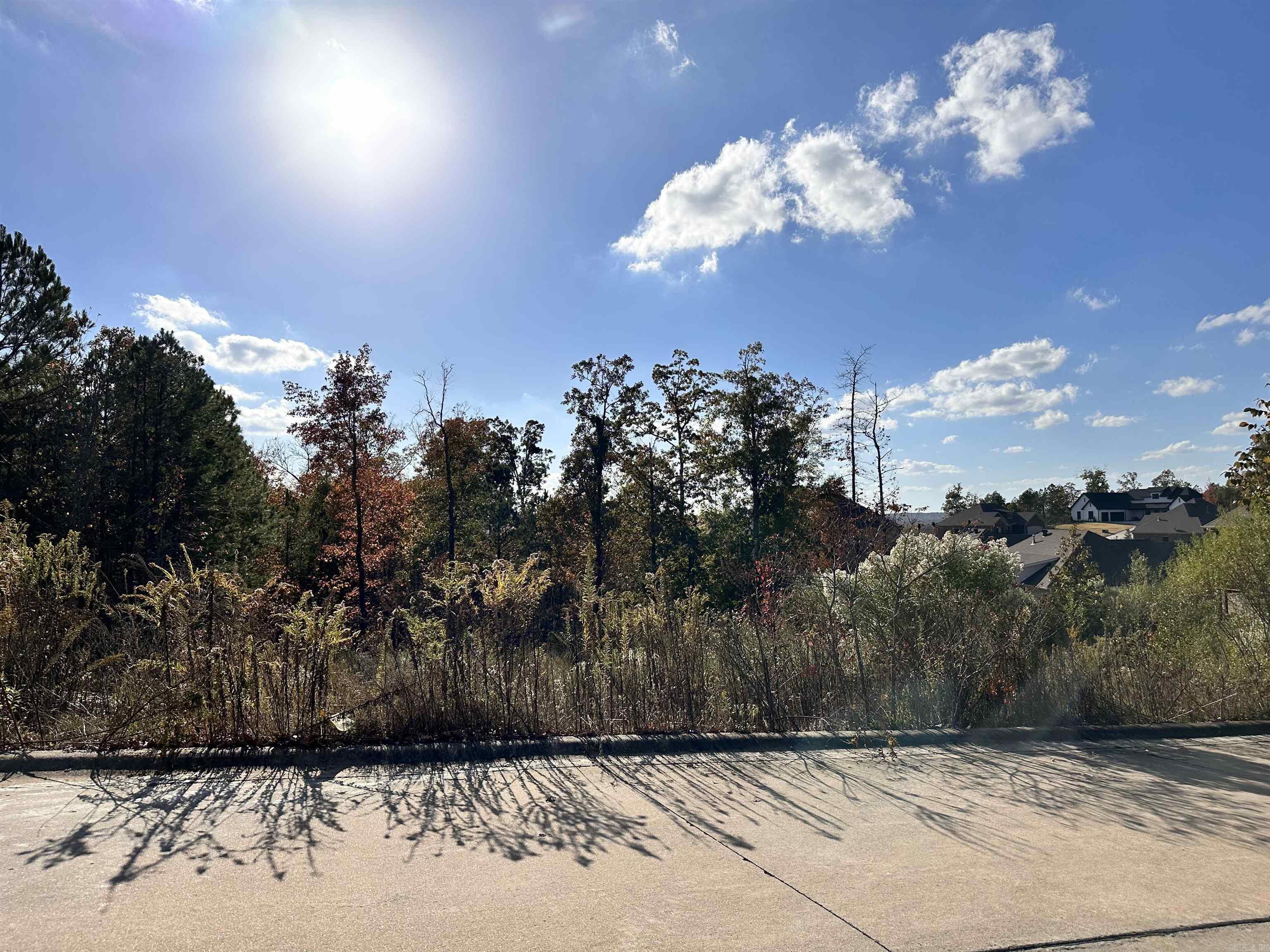 15109  Angus  Little Rock, AR