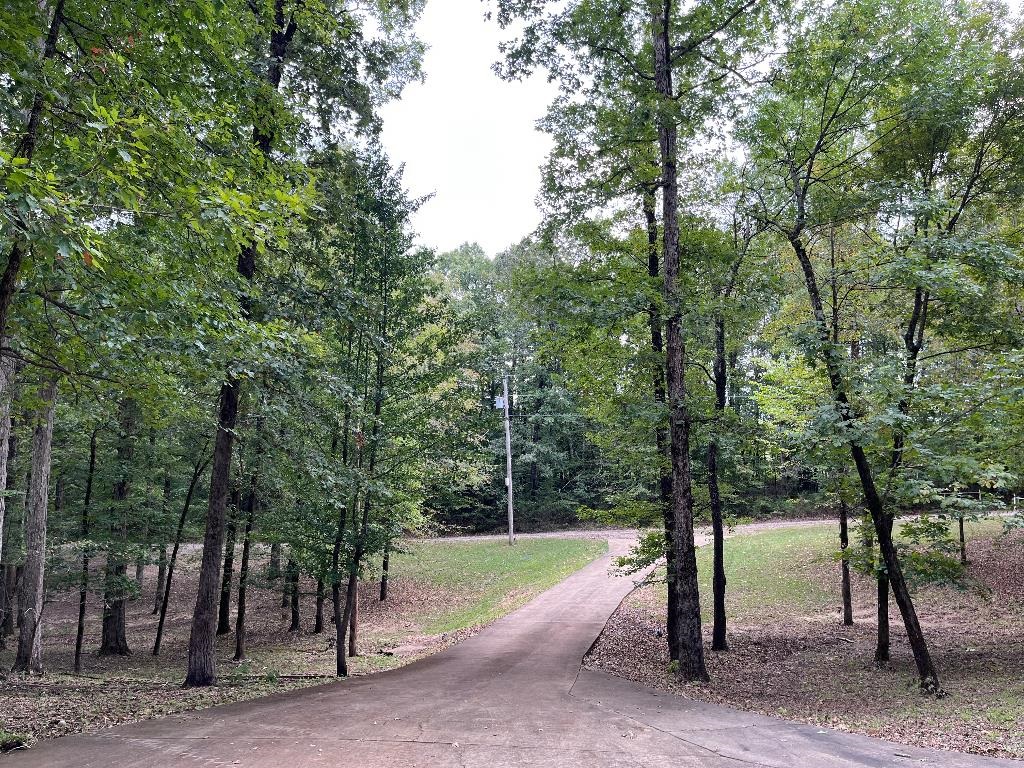 67  Delton Mccauley  Kirby, AR