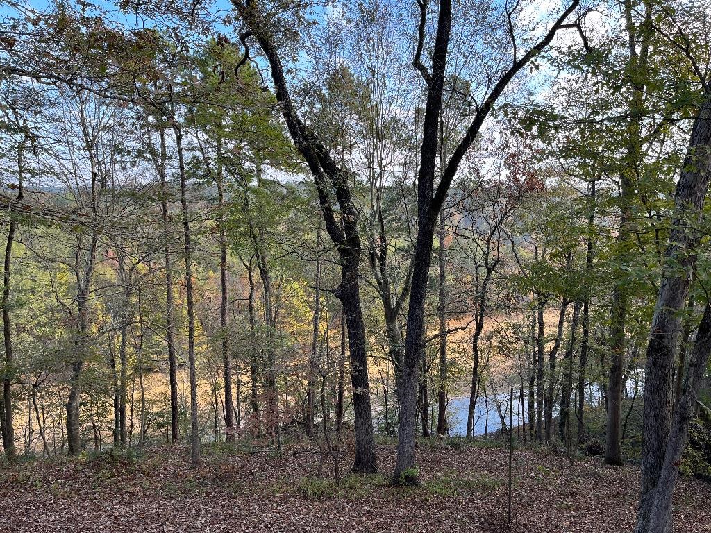 67  Delton Mccauley  Kirby, AR