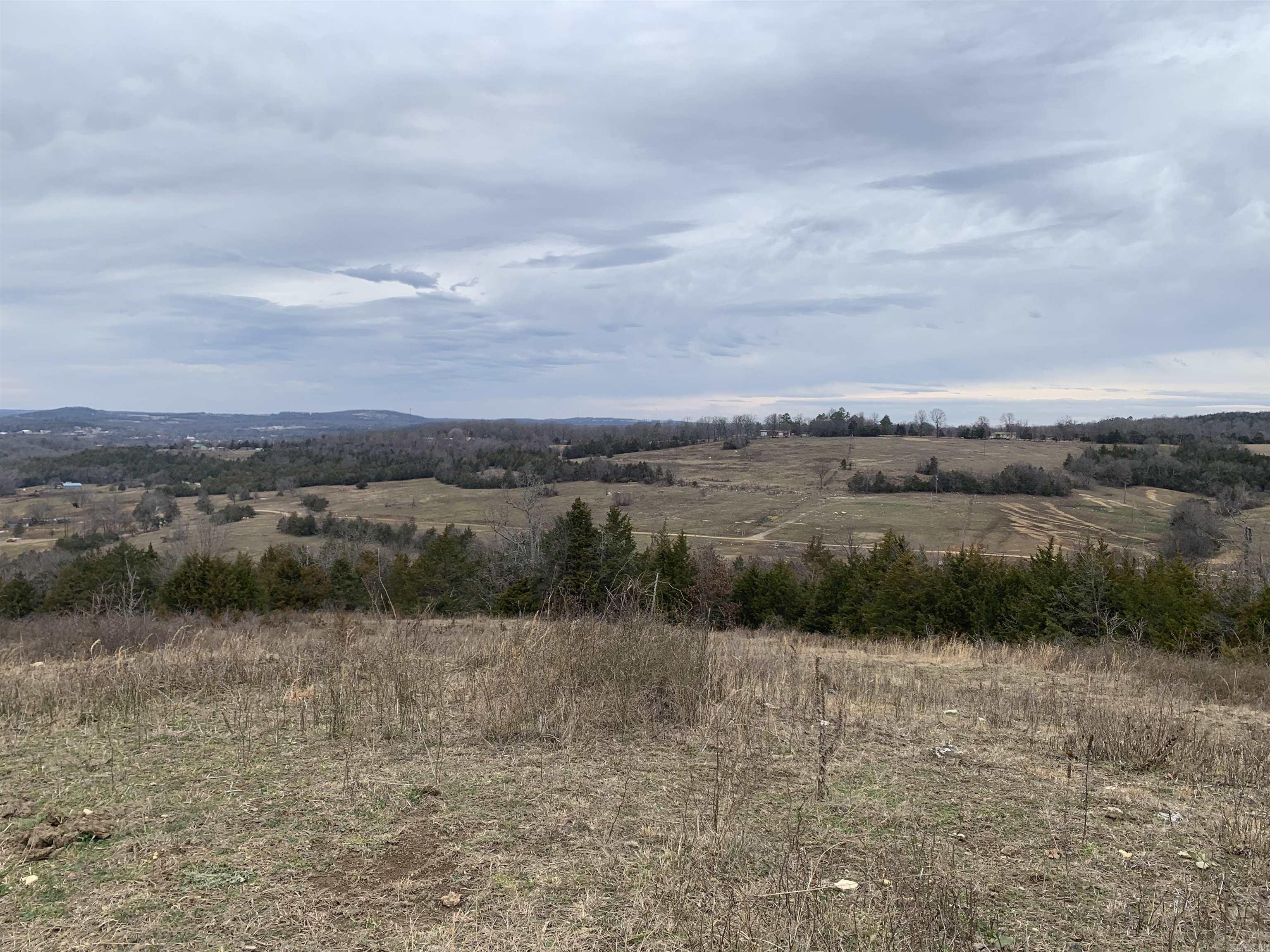001-04204-000  MC 6016  Yellville, AR