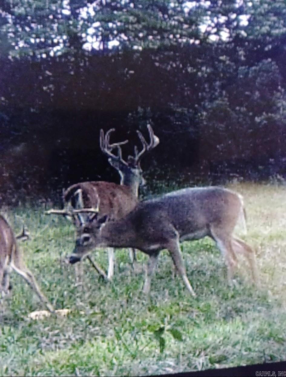 001-04204-000  MC 6016  Yellville, AR