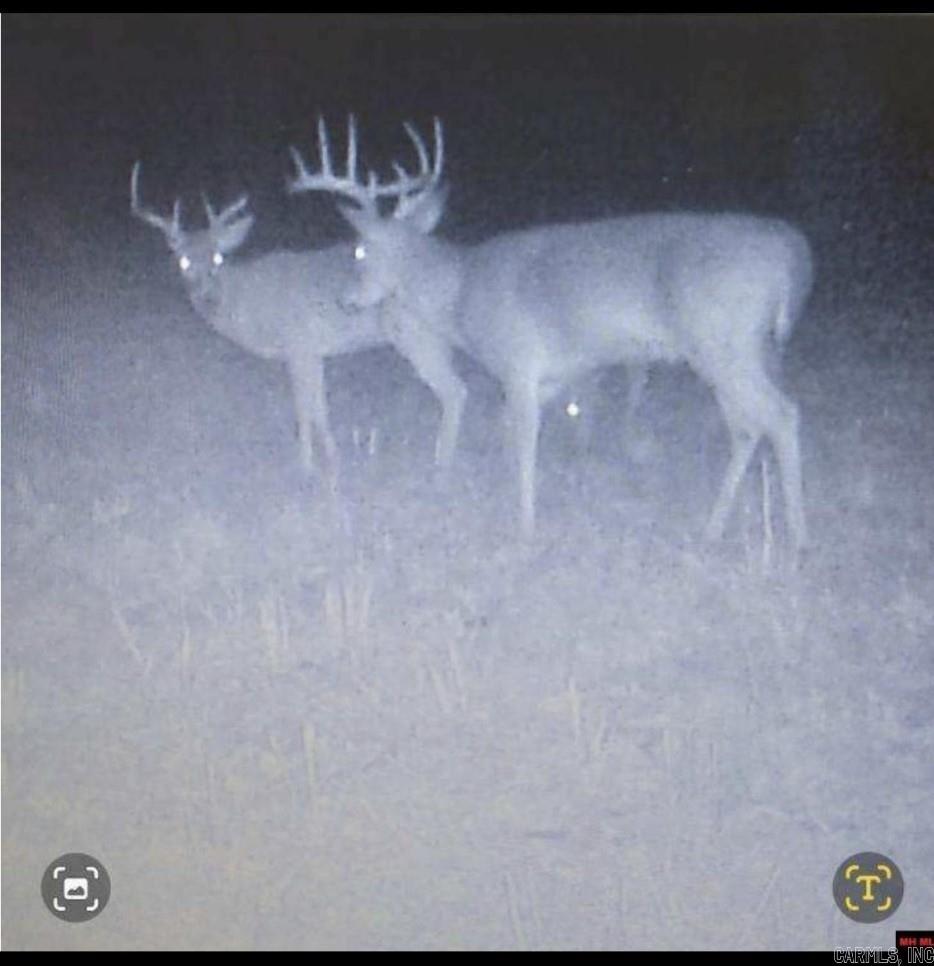 001-04204-000  MC 6016  Yellville, AR