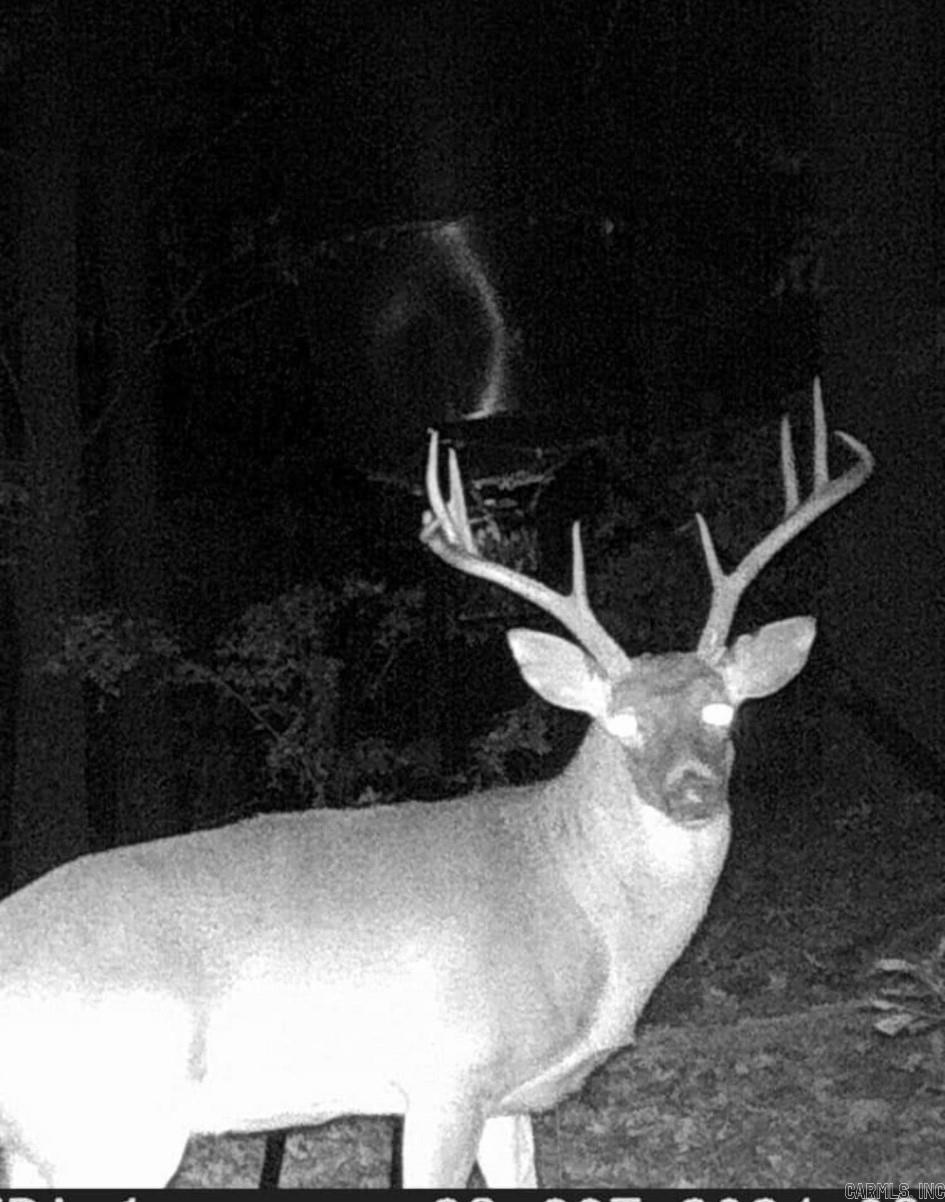 001-04204-000  MC 6016  Yellville, AR