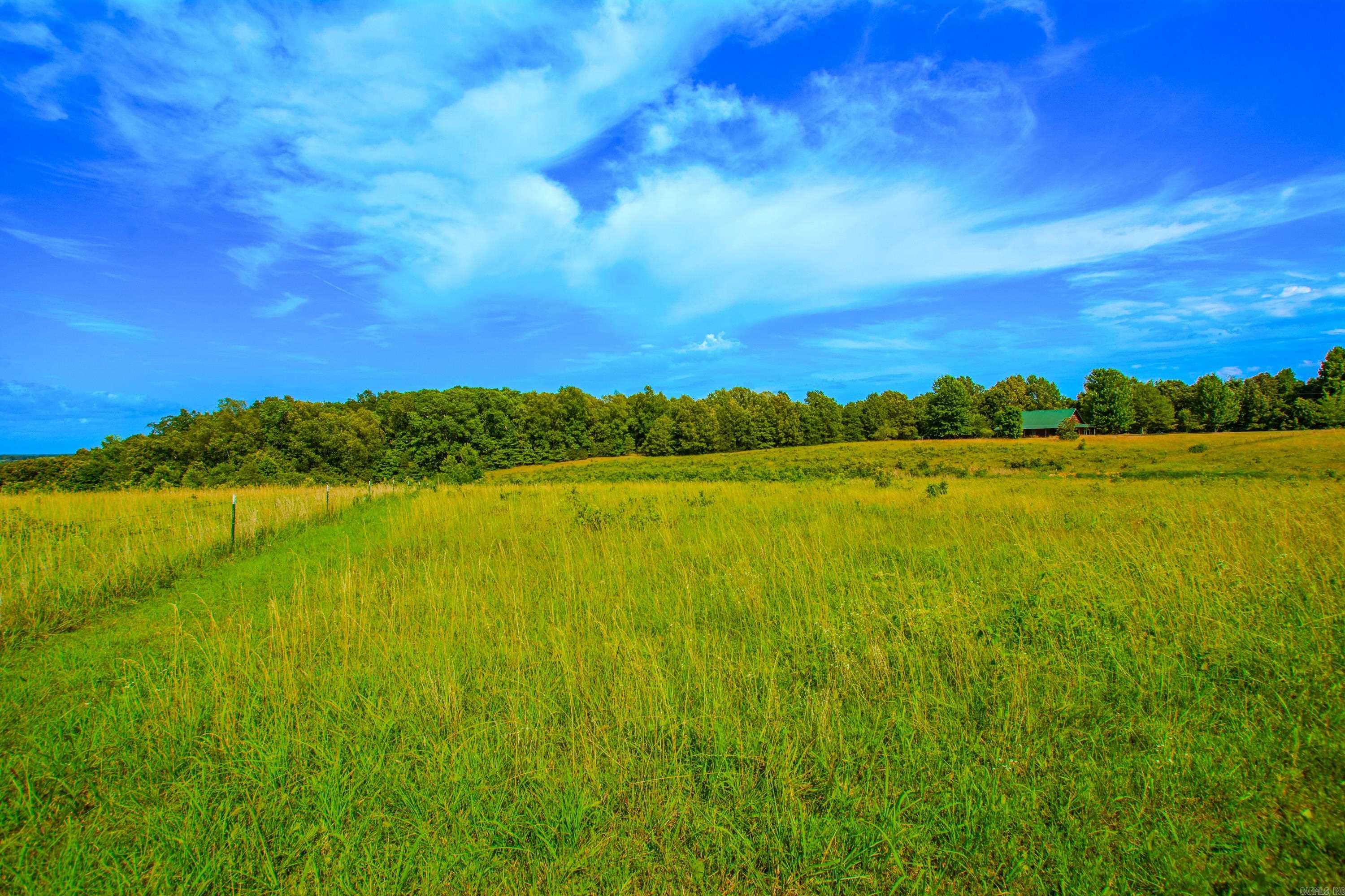 890 Yuba Road Heber Springs, AR 72543