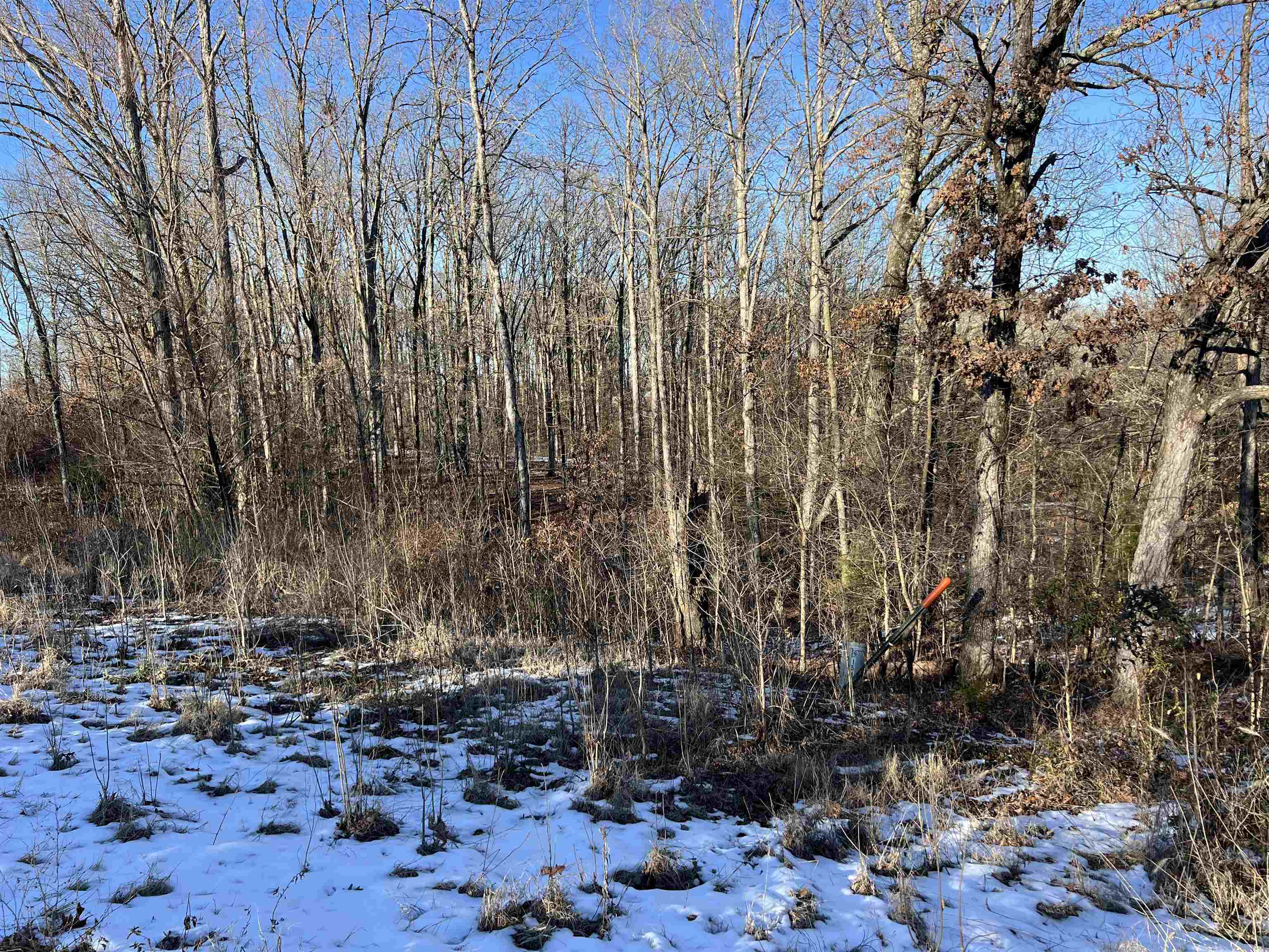 3  County Road 368  Wynne, AR