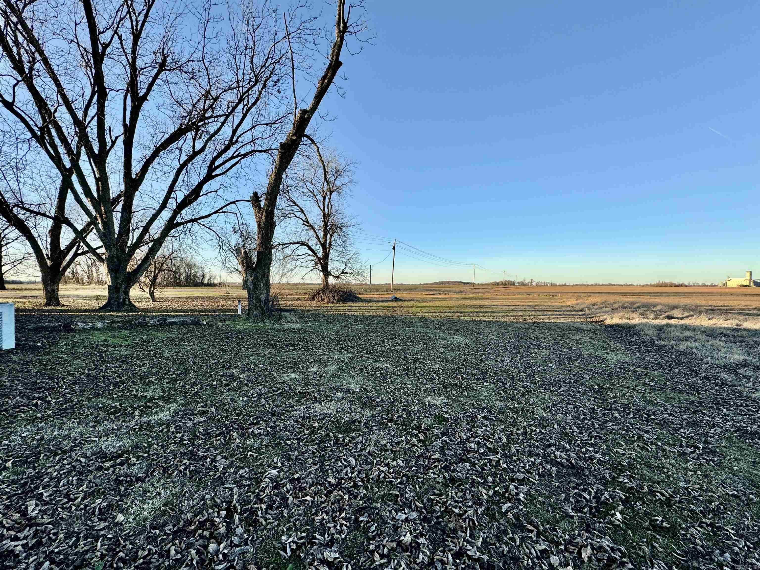 1426  Highway 54  Dumas, AR