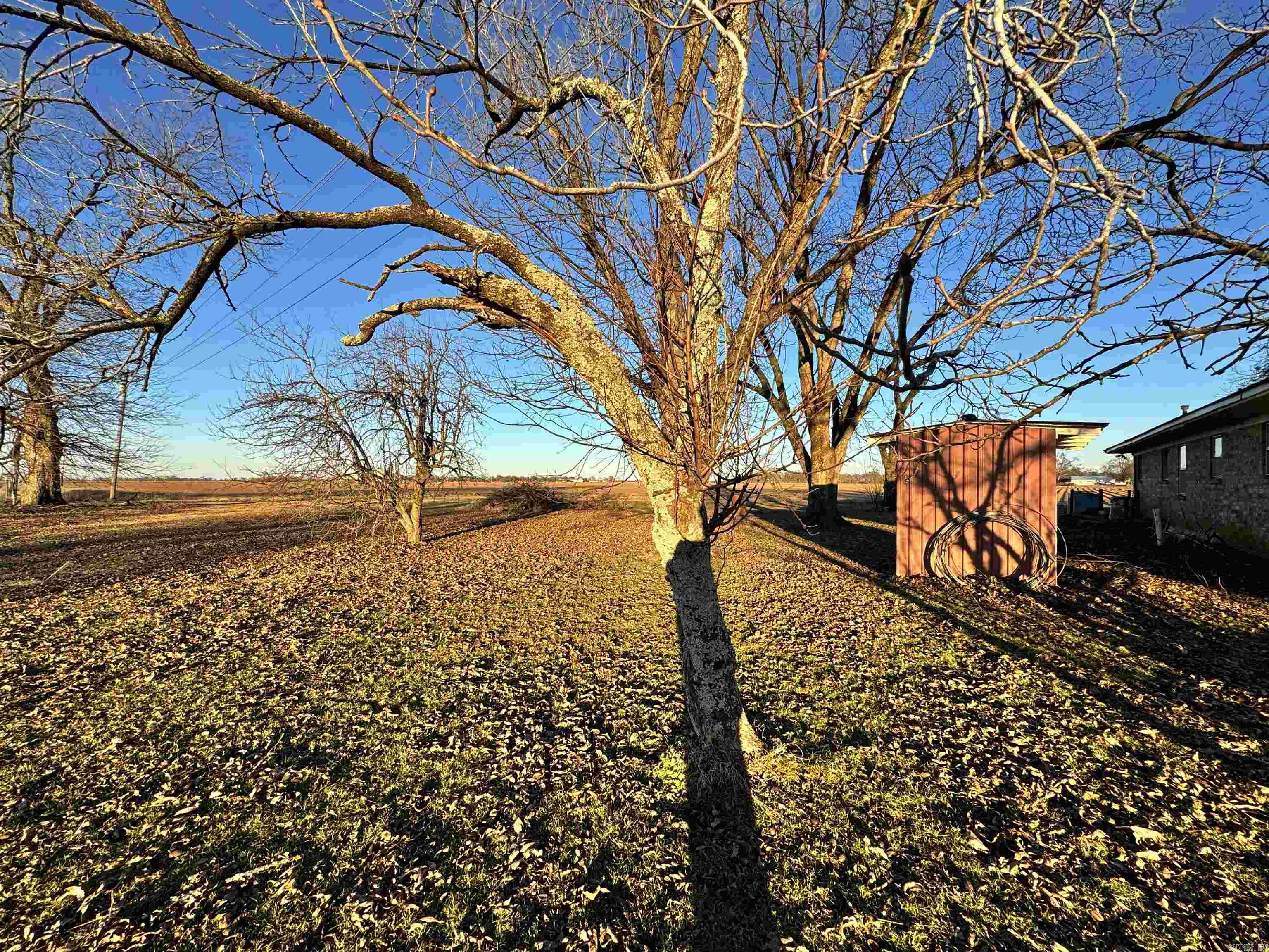 1426  Highway 54  Dumas, AR