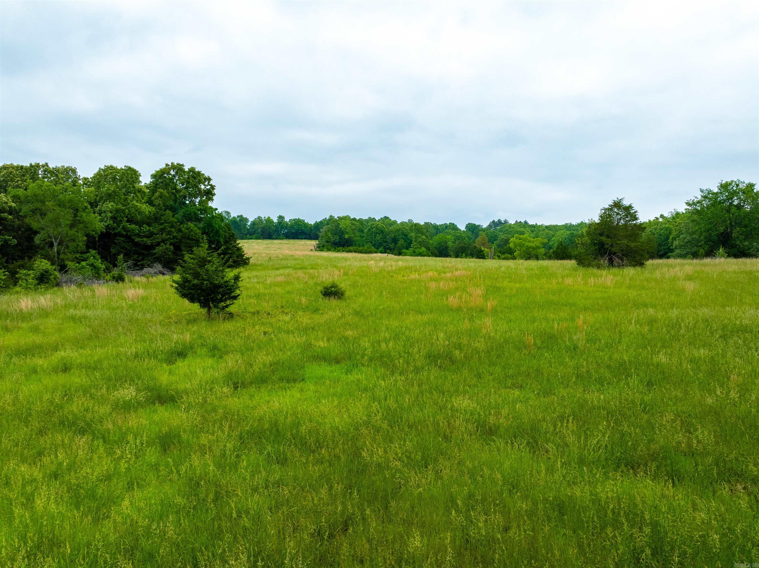   Hwy 354  Oxford, AR