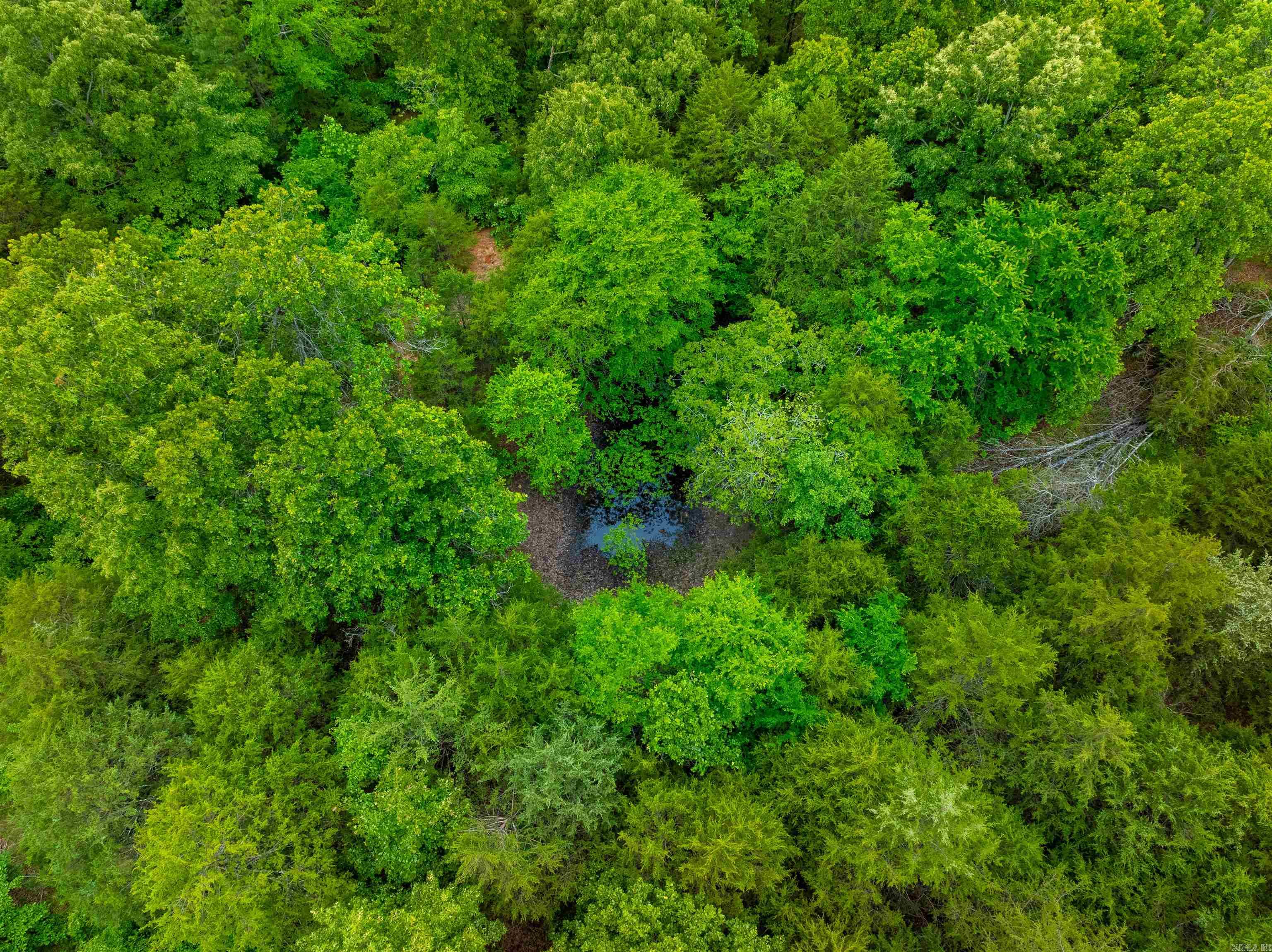   Hwy 354  Oxford, AR