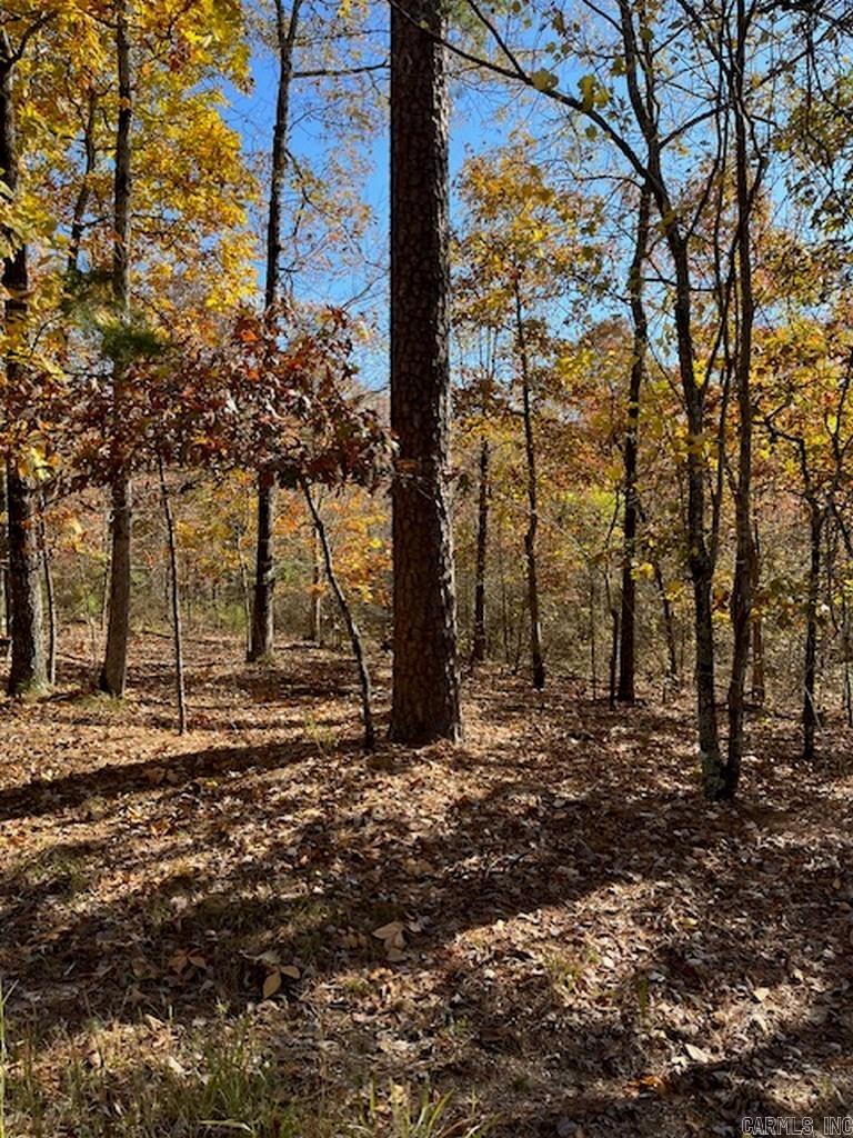 17  Fachado  Hot Springs Village, AR