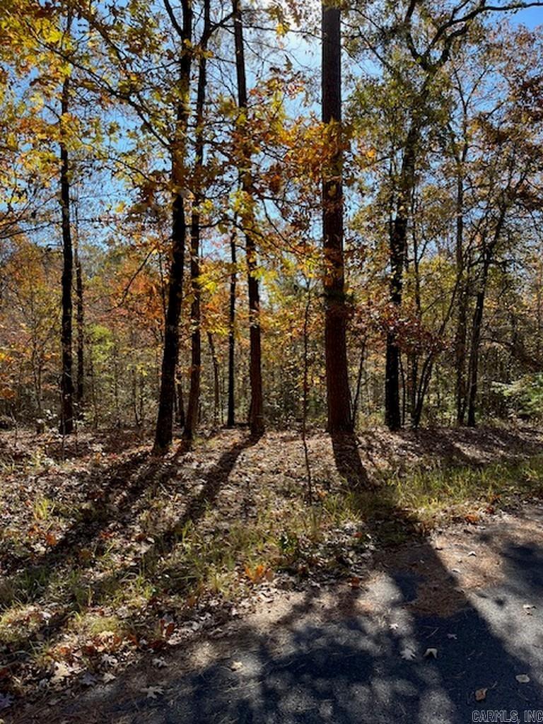 17  Fachado  Hot Springs Village, AR