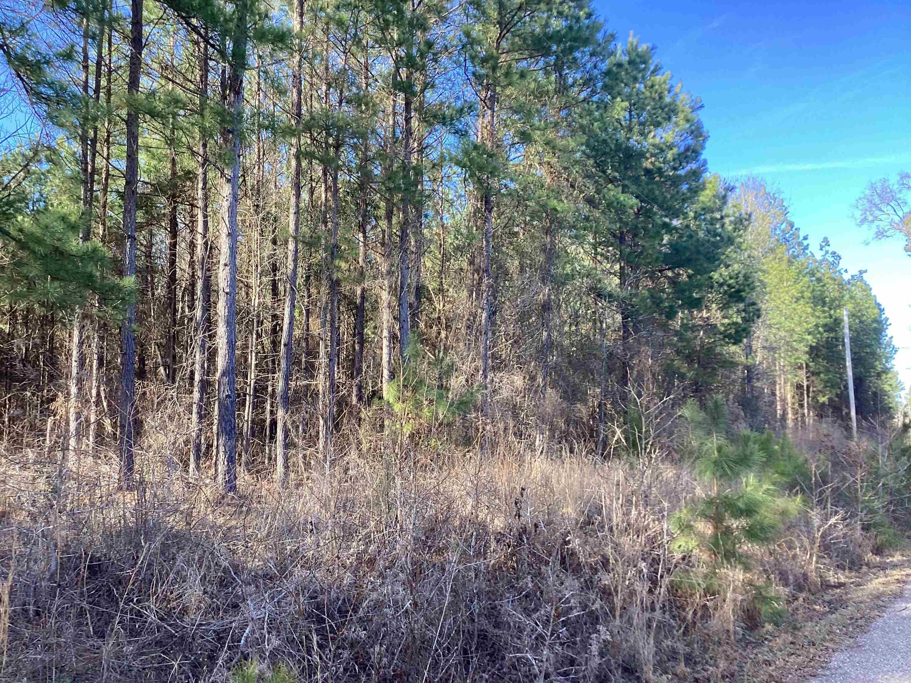 152  Hesterly St  Chidester, AR