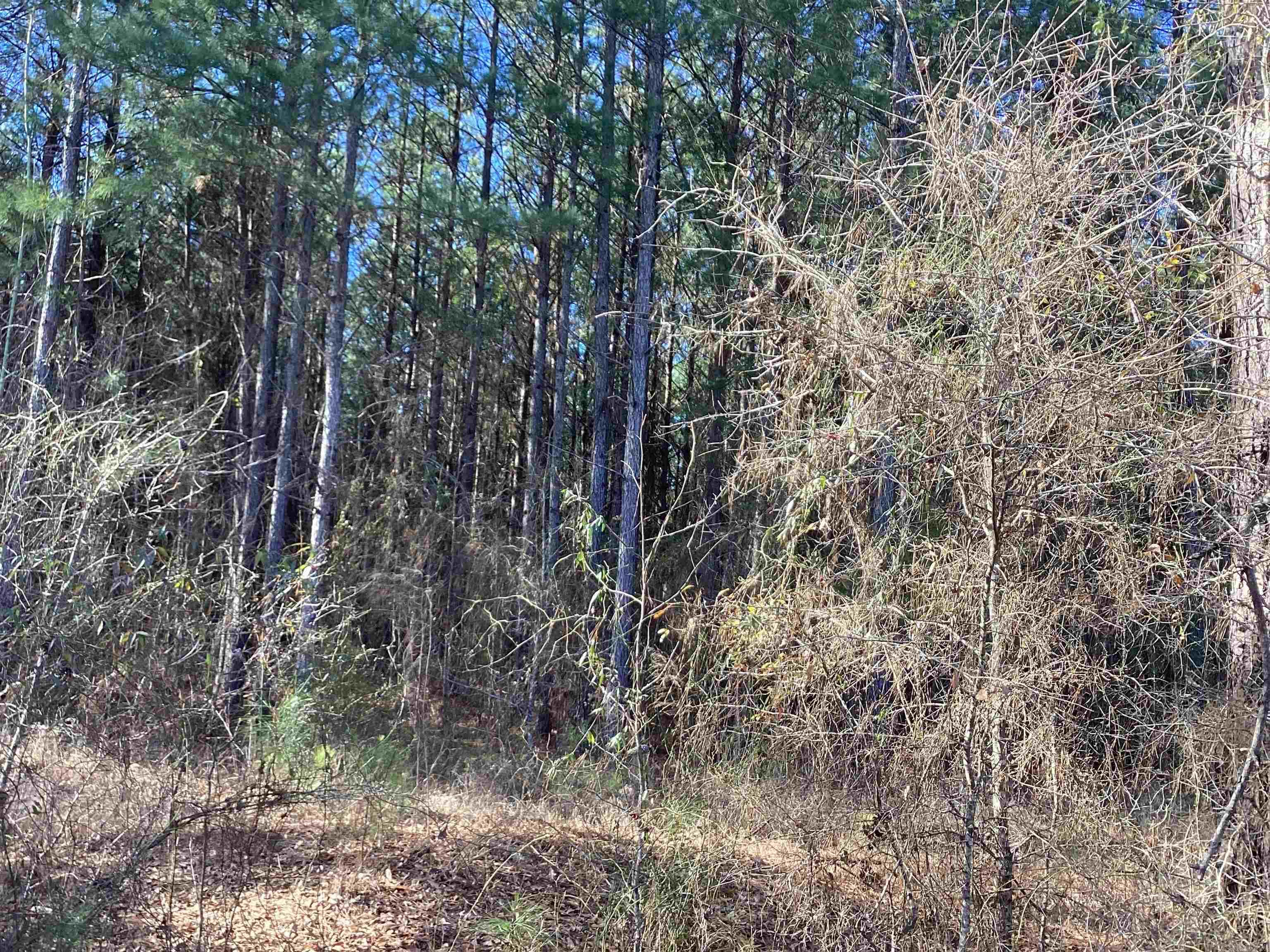 152  Hesterly St  Chidester, AR