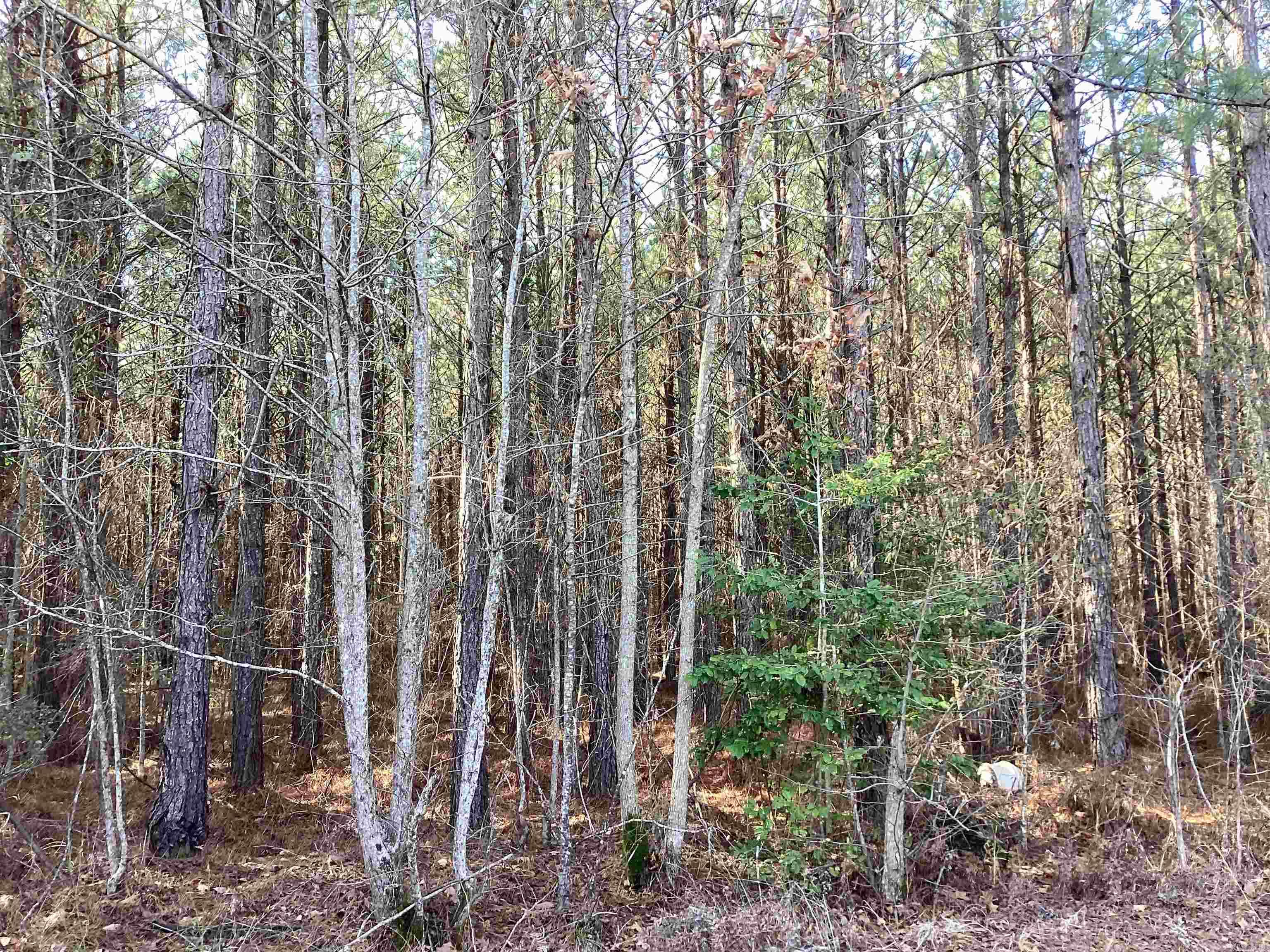 152  Hesterly St  Chidester, AR