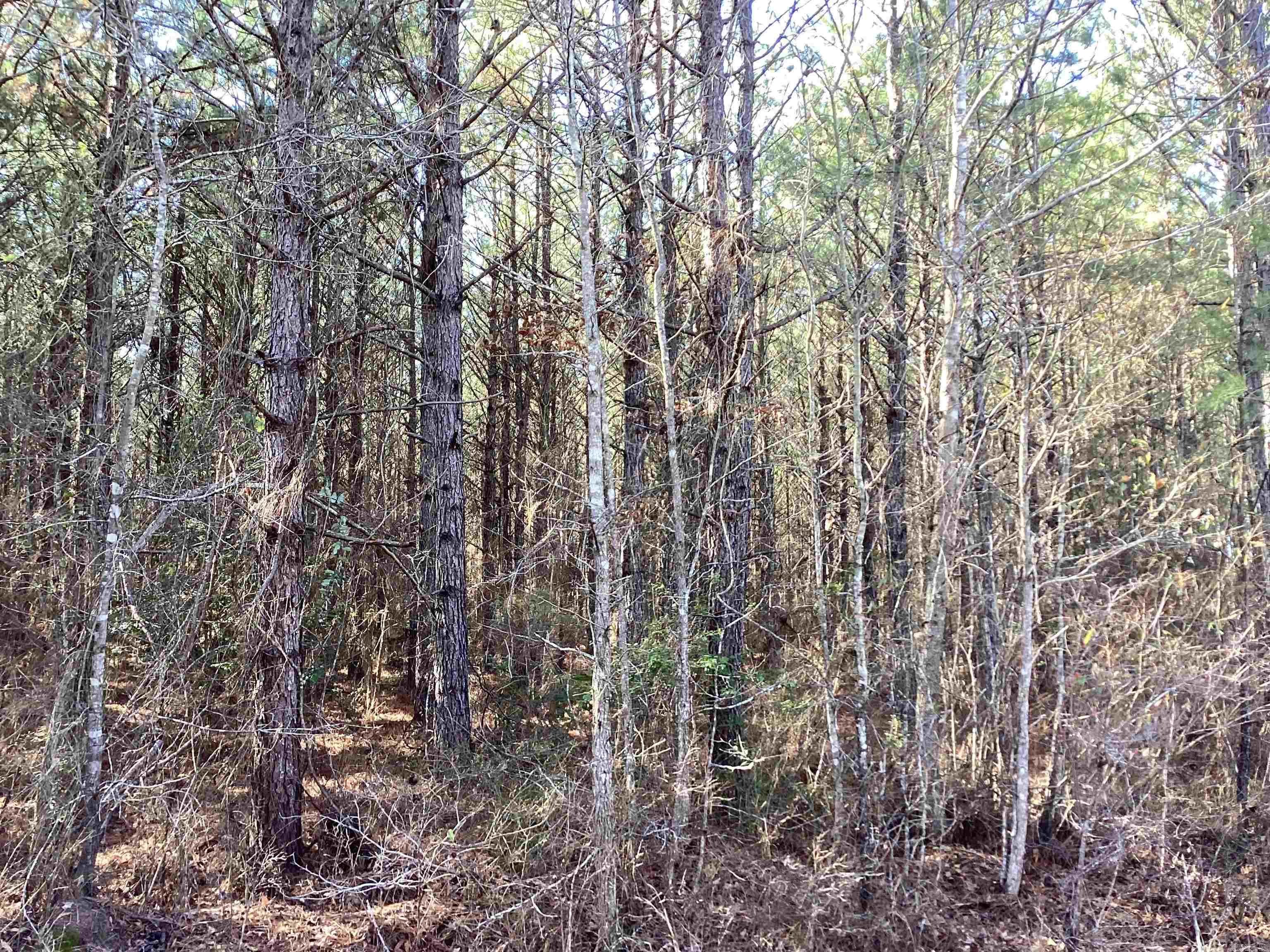 152  Hesterly St  Chidester, AR
