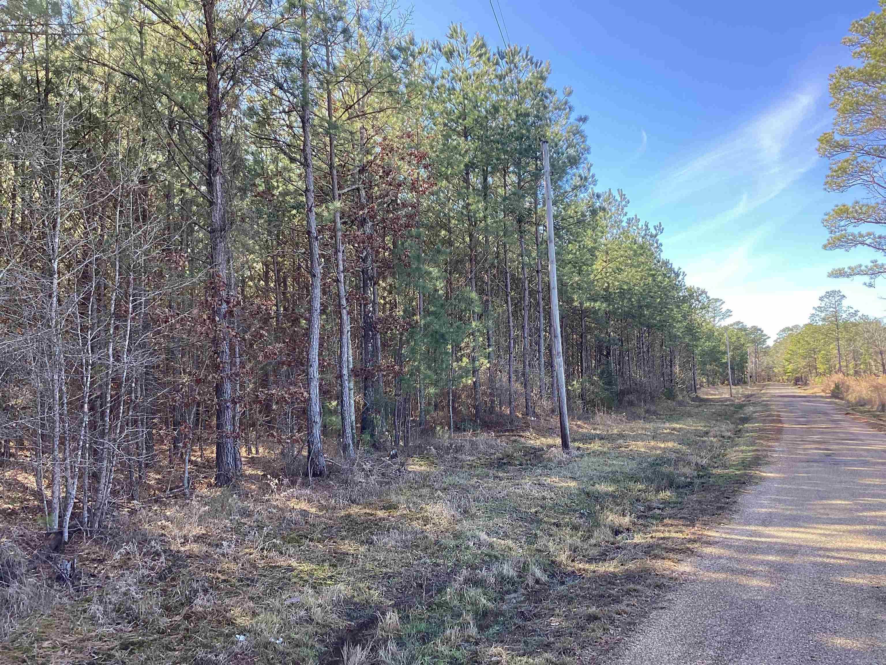 152  Hesterly St  Chidester, AR
