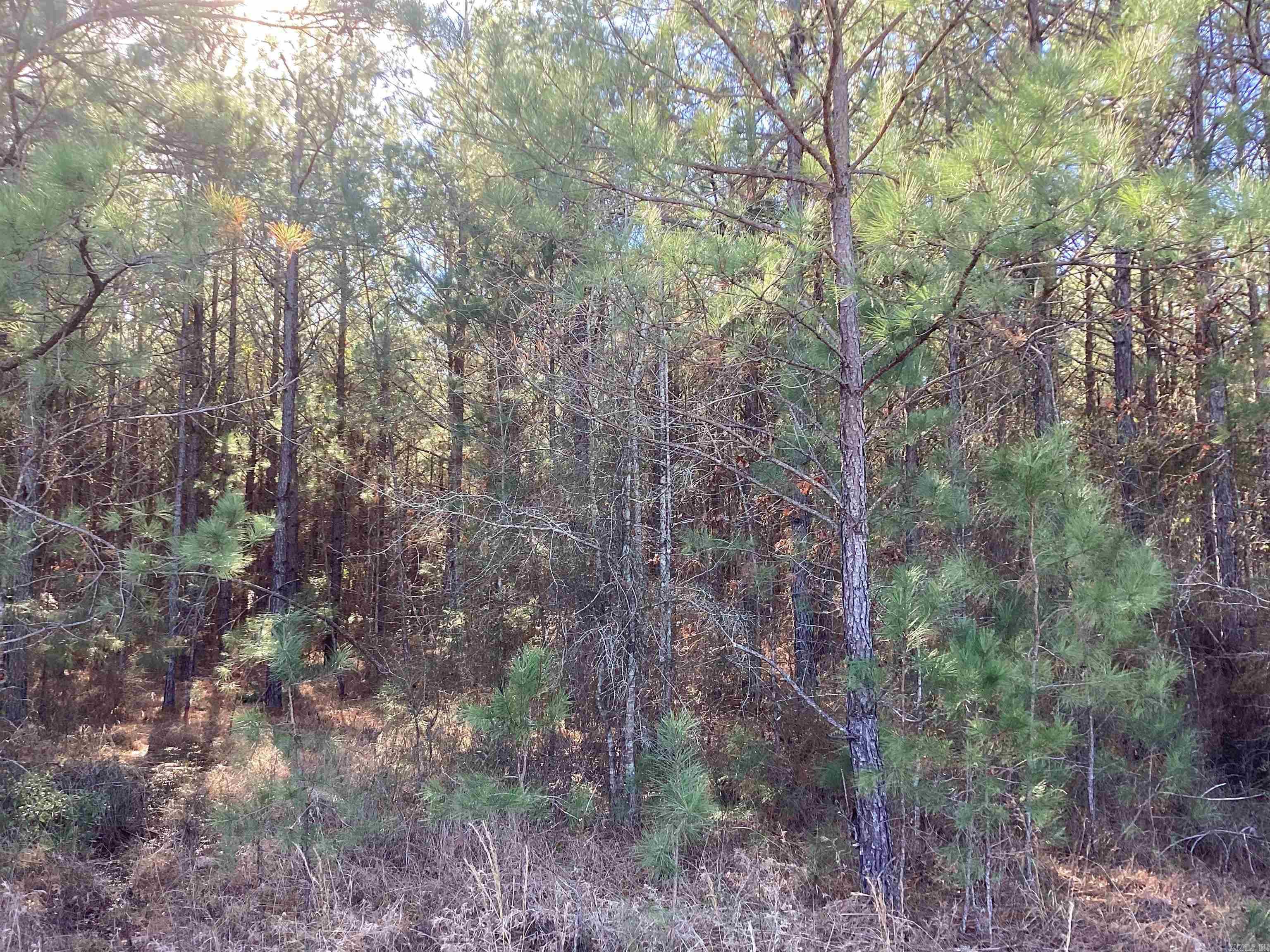 152  Hesterly St  Chidester, AR