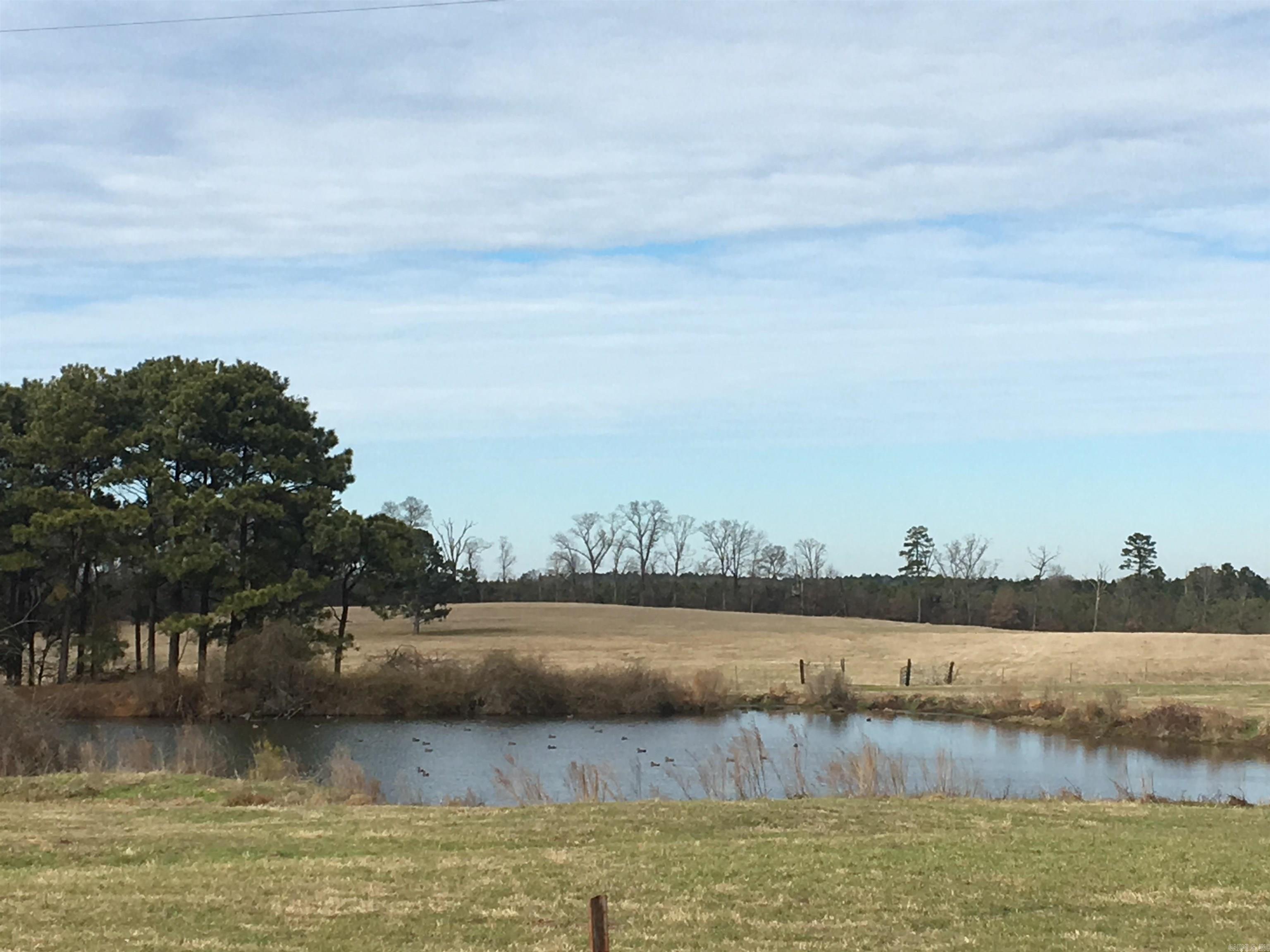 1230  Crook  Rison, AR