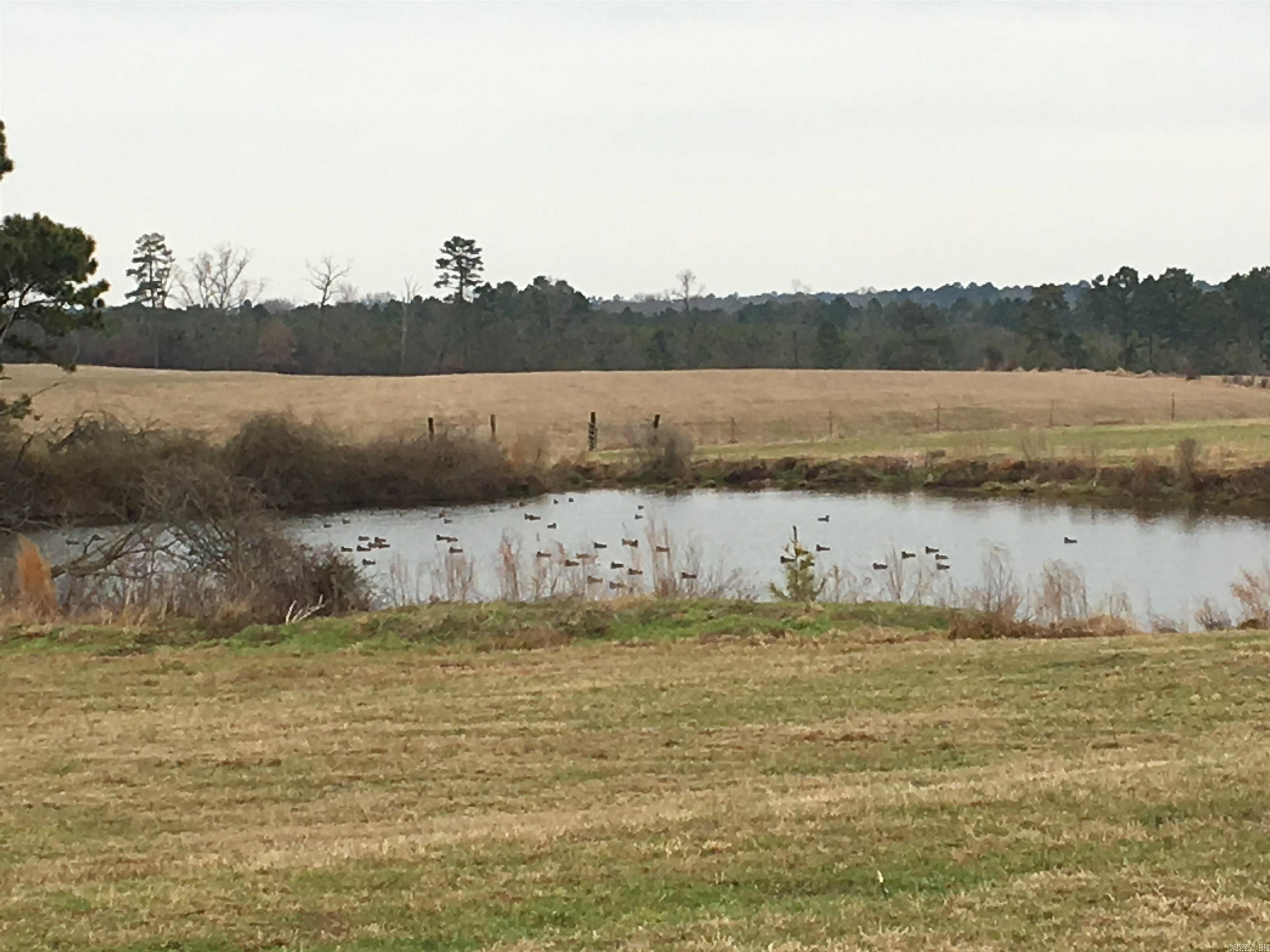 1230  Crook  Rison, AR