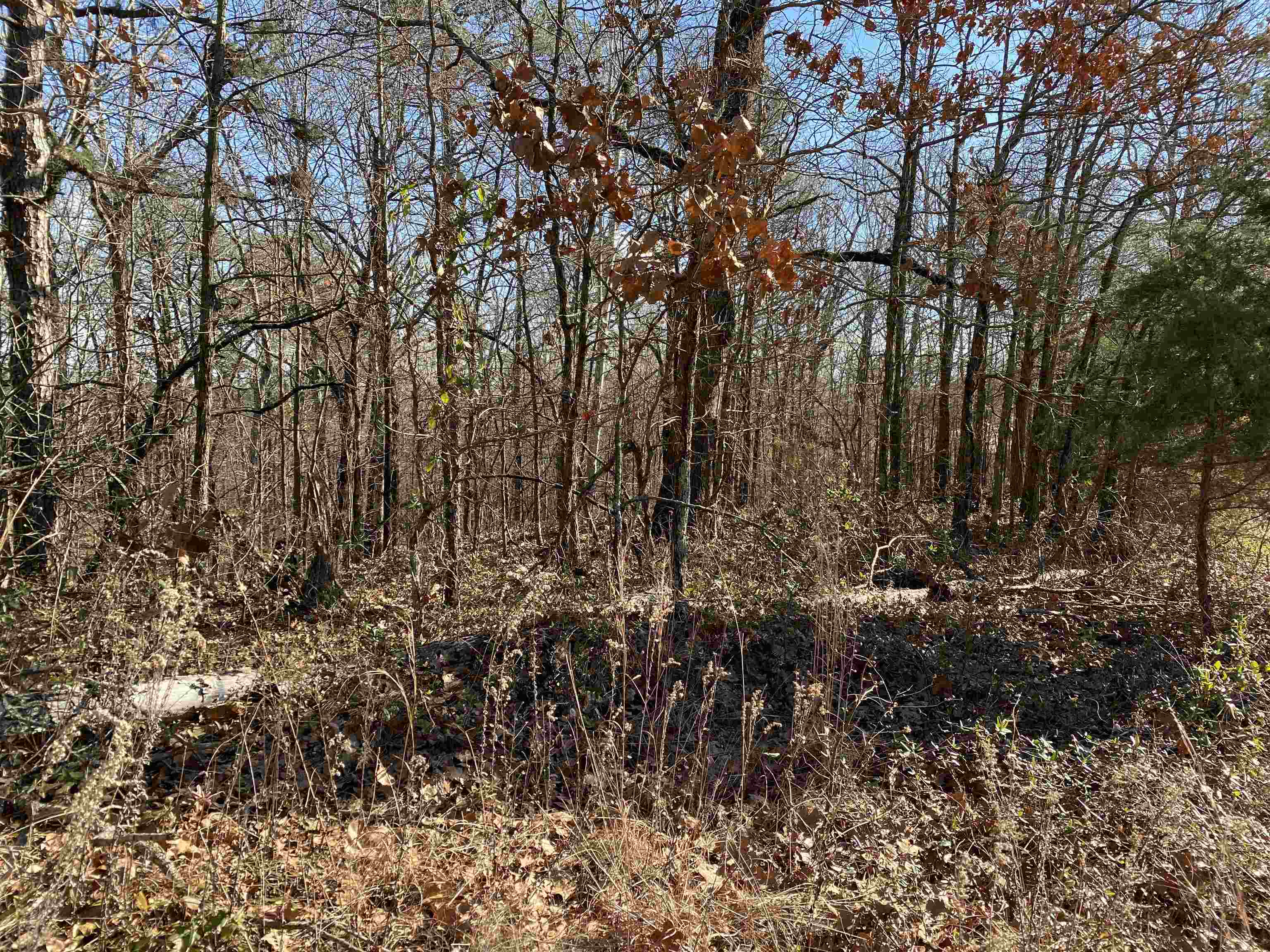 13242  Hwy 163  Harrisburg, AR