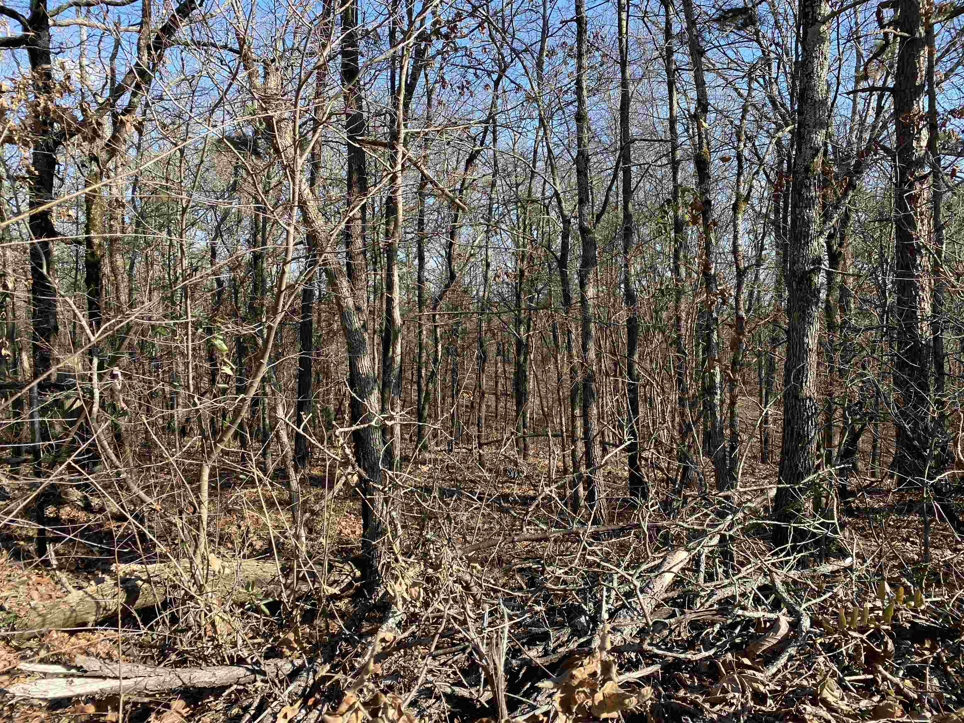 13242  Hwy 163  Harrisburg, AR