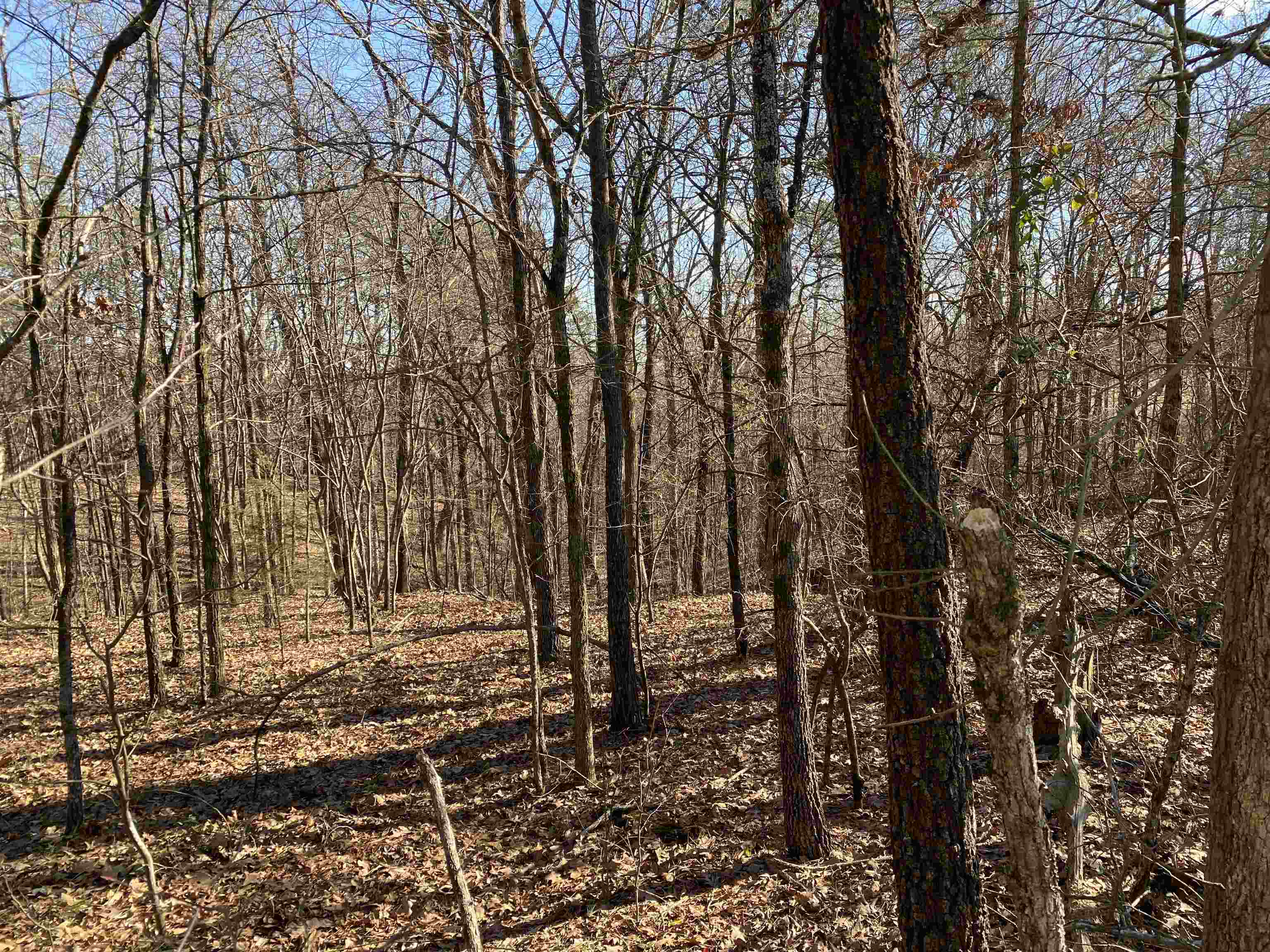 13242  Hwy 163  Harrisburg, AR