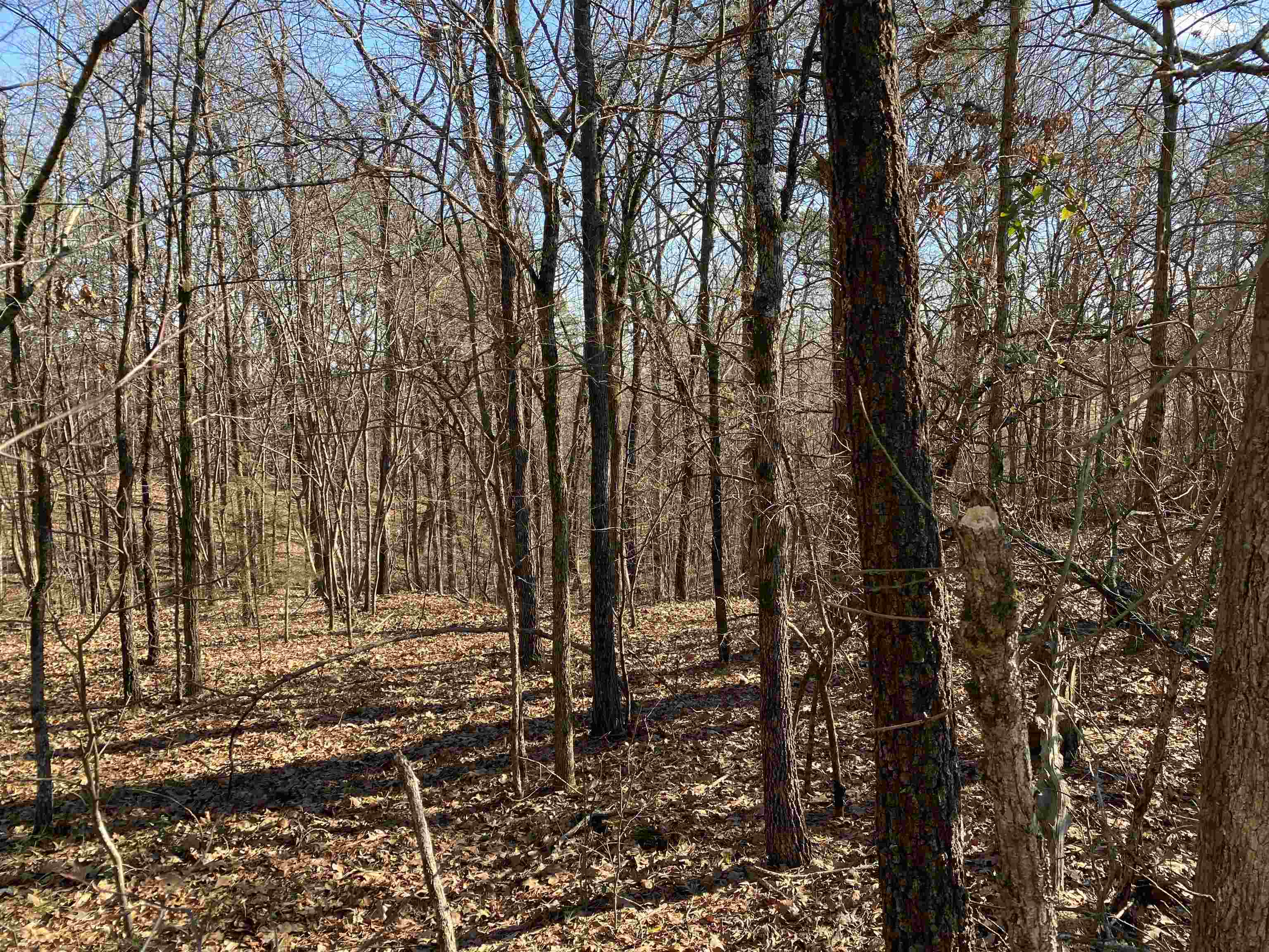 13242  Hwy 163  Harrisburg, AR