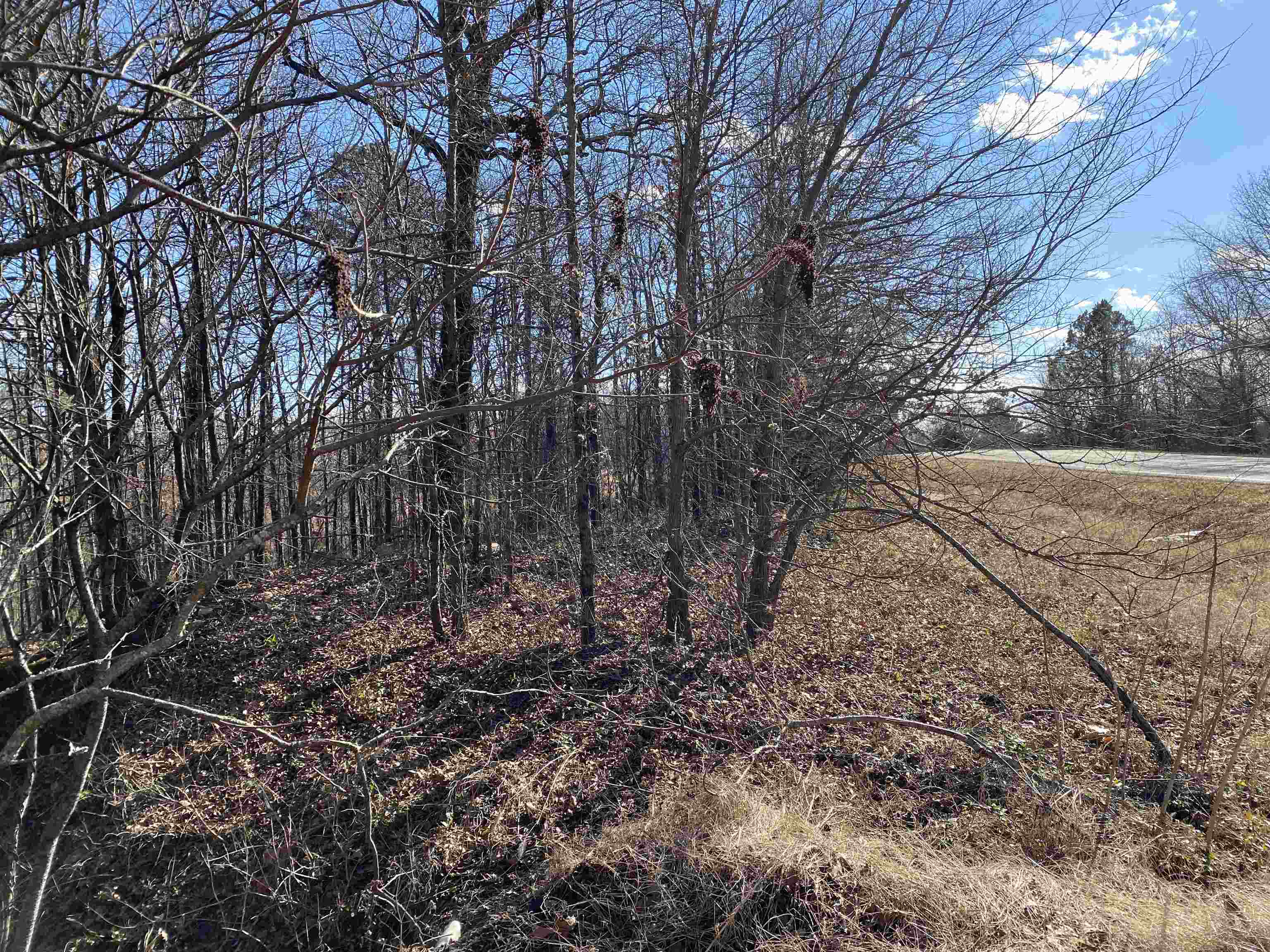 13242  Hwy 163  Harrisburg, AR