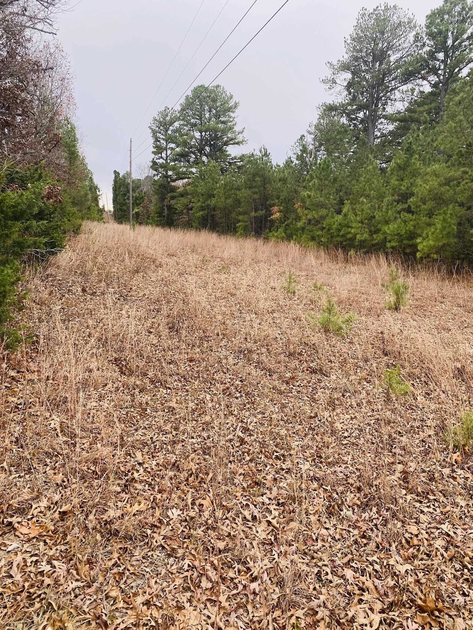 45  Lofton Road  Calico Rock, AR