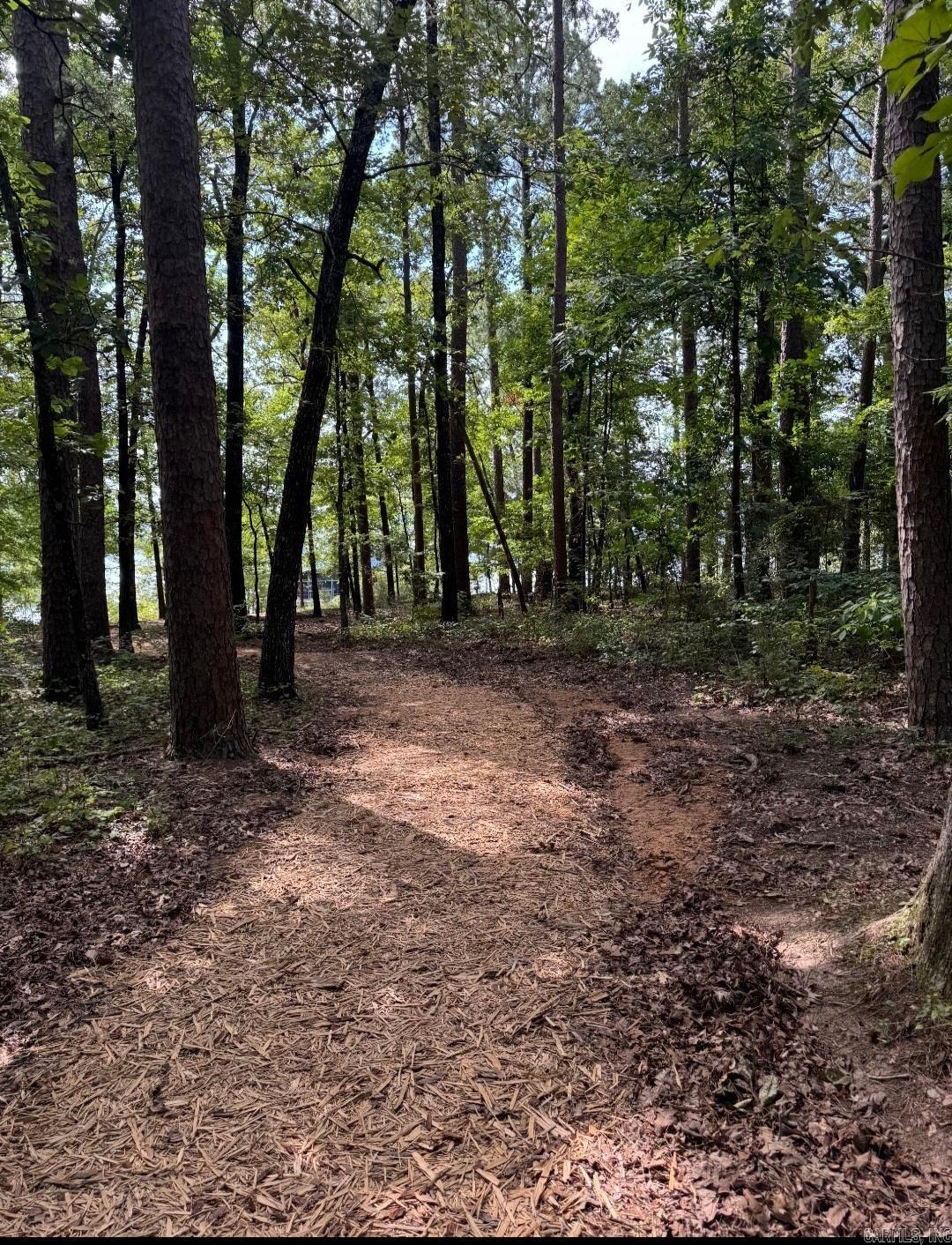 2634  Tannenbaum  Drasco, AR