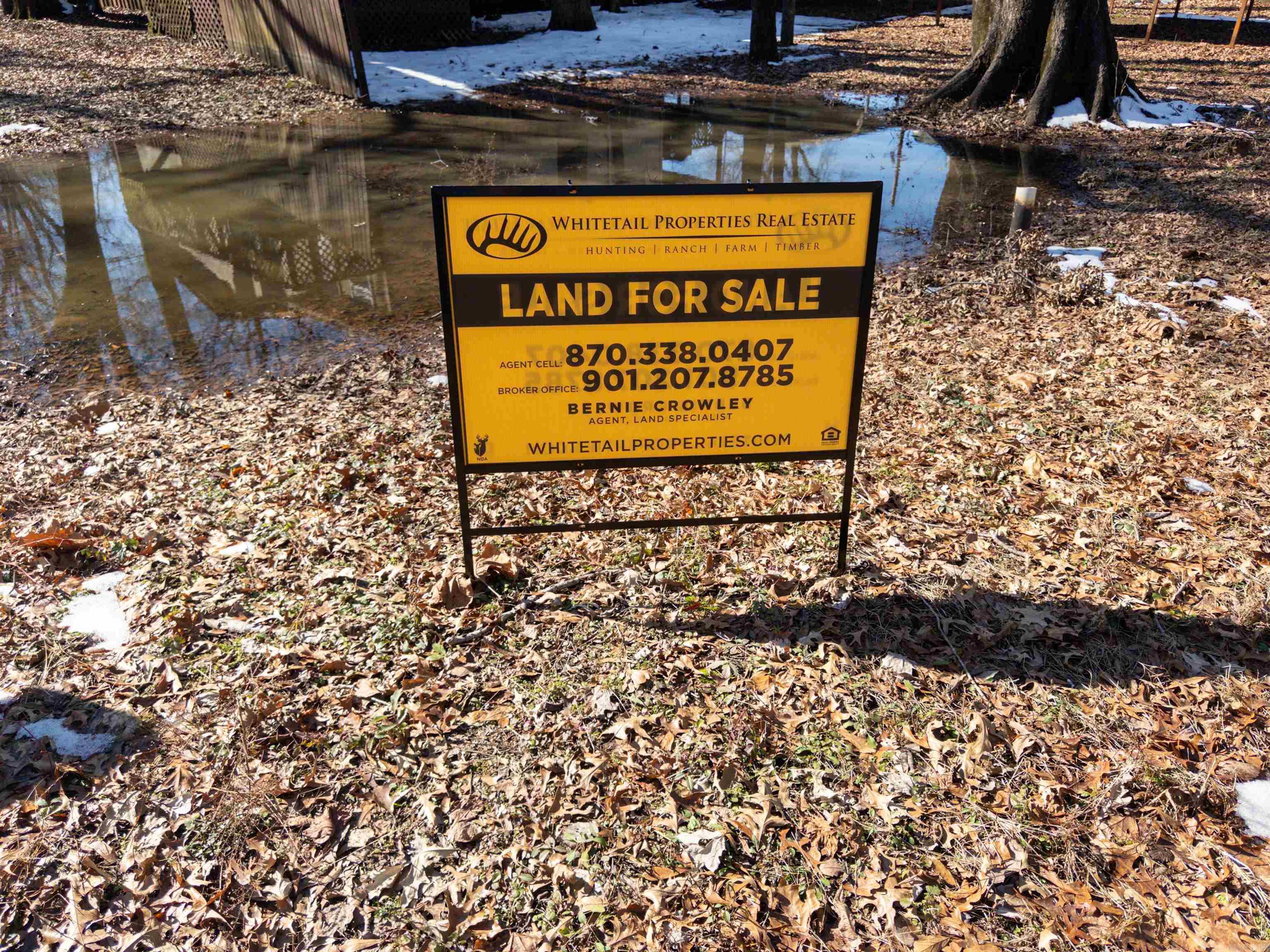 227  Lower Maddox Bay  Holly Grove, AR