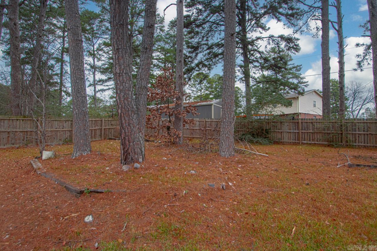 9304  Tanya  Little Rock, AR