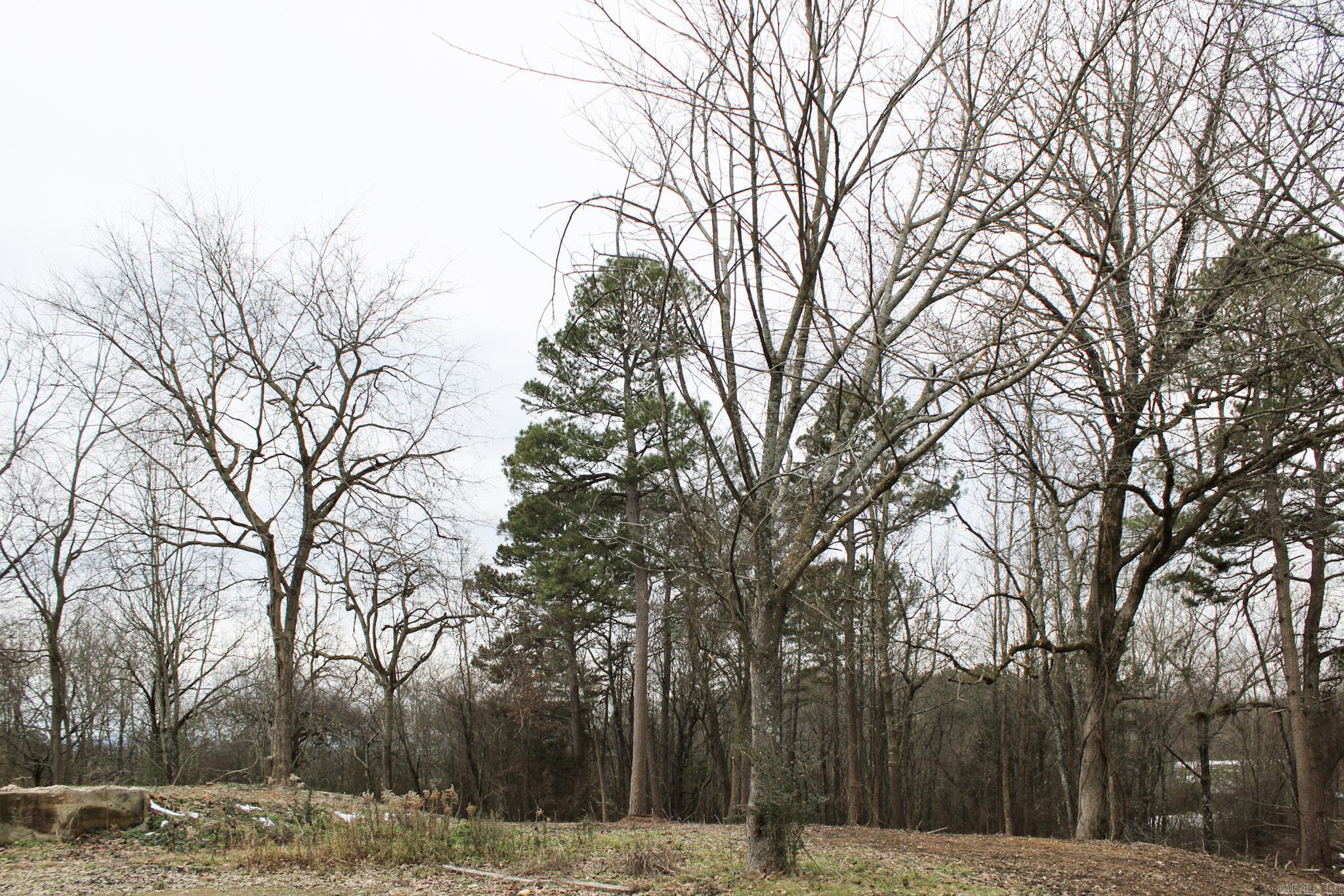 1076  Polk Road 72  Mena, AR