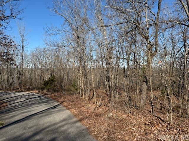 250  Windwood Country  El Paso, AR